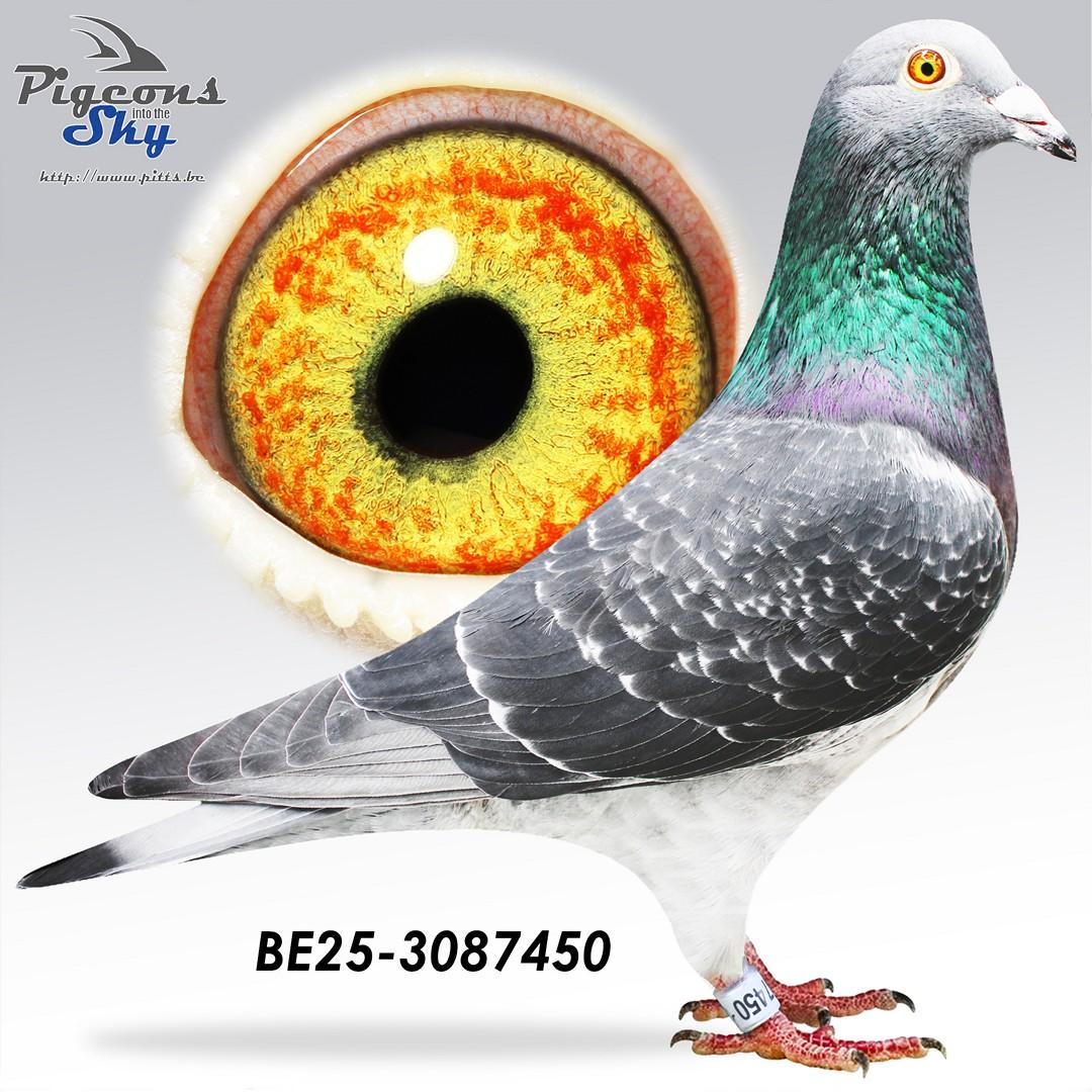 BE25-3087450