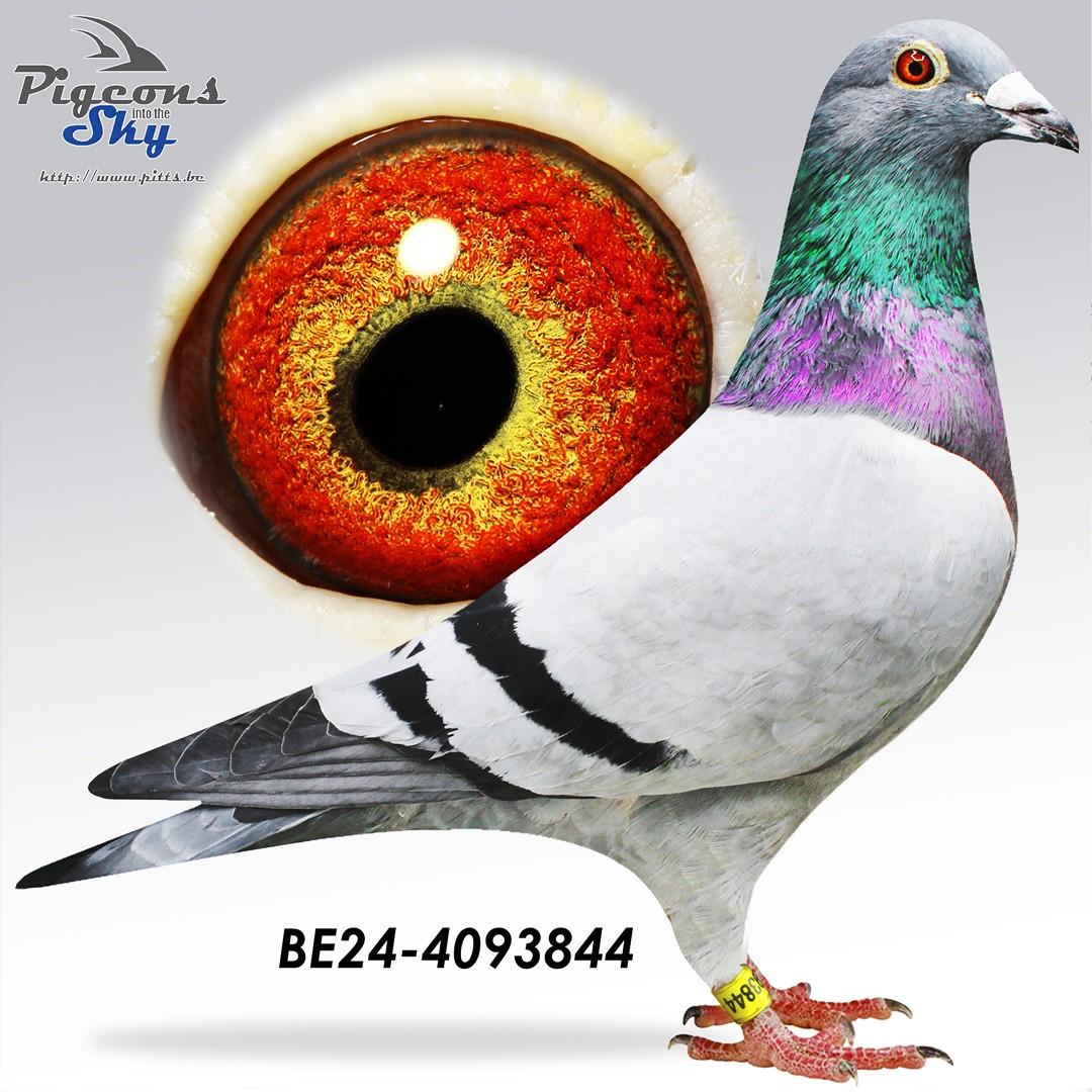BE24-4093844