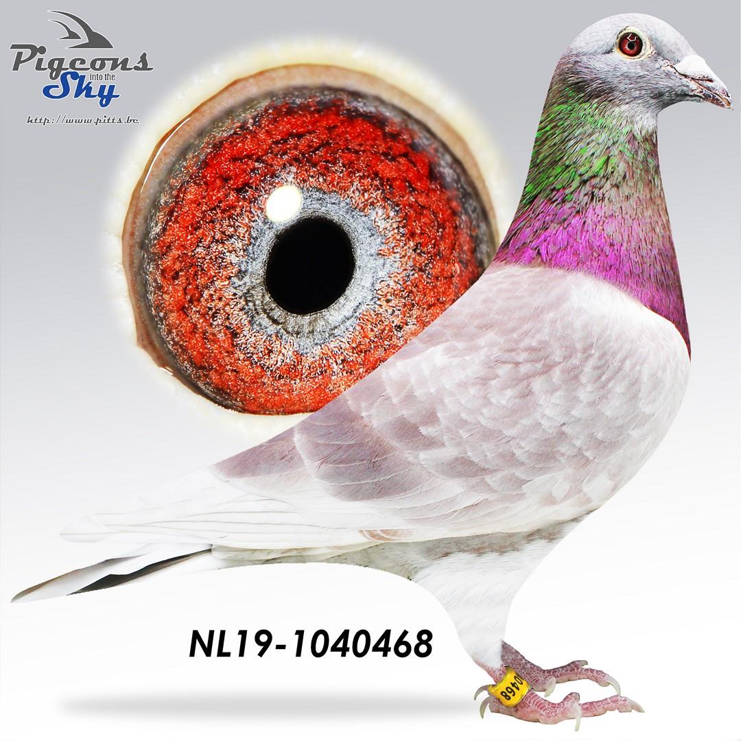 NL19-1040468