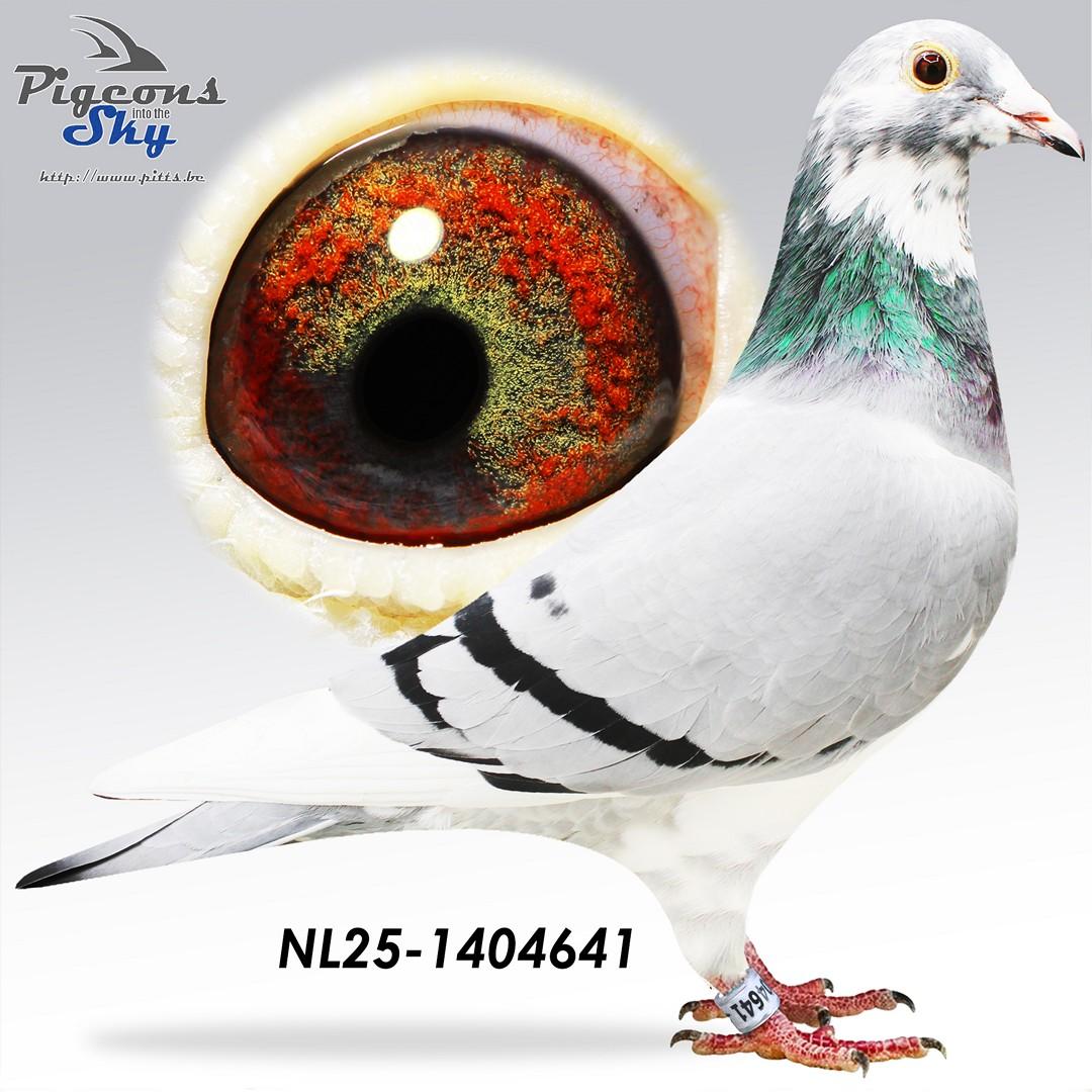NL25-1404641