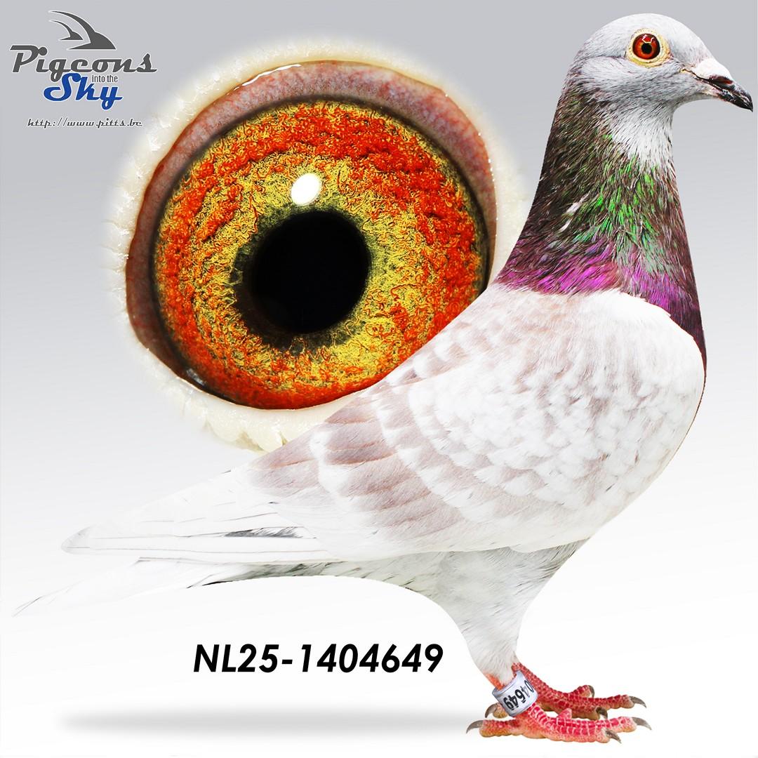 NL25-1404649