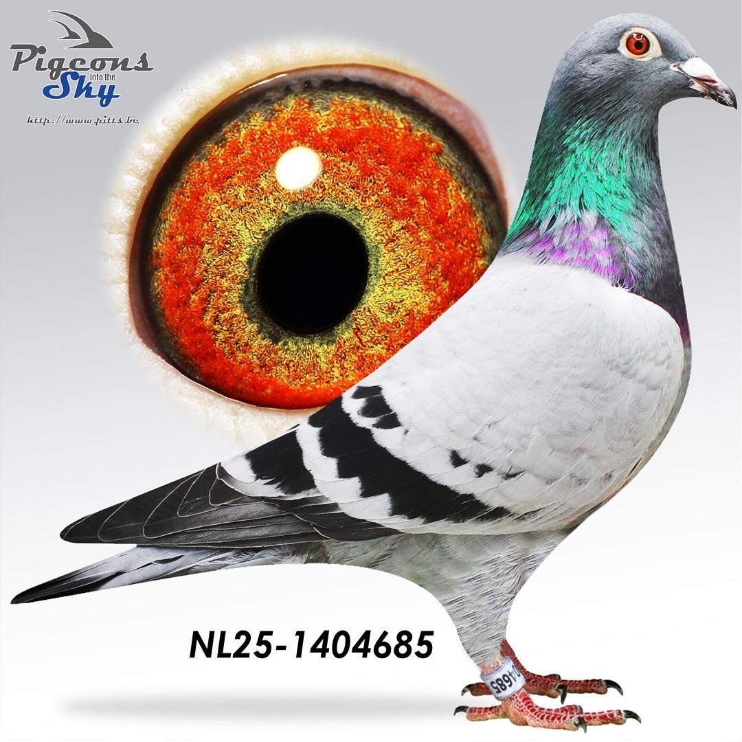 NL25-1404685