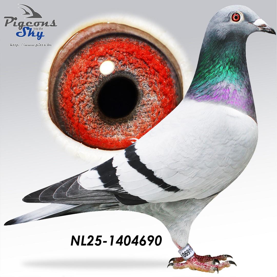 NL25-1404690