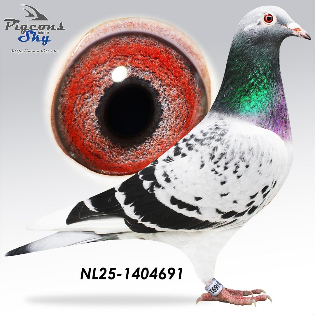 NL25-1404691