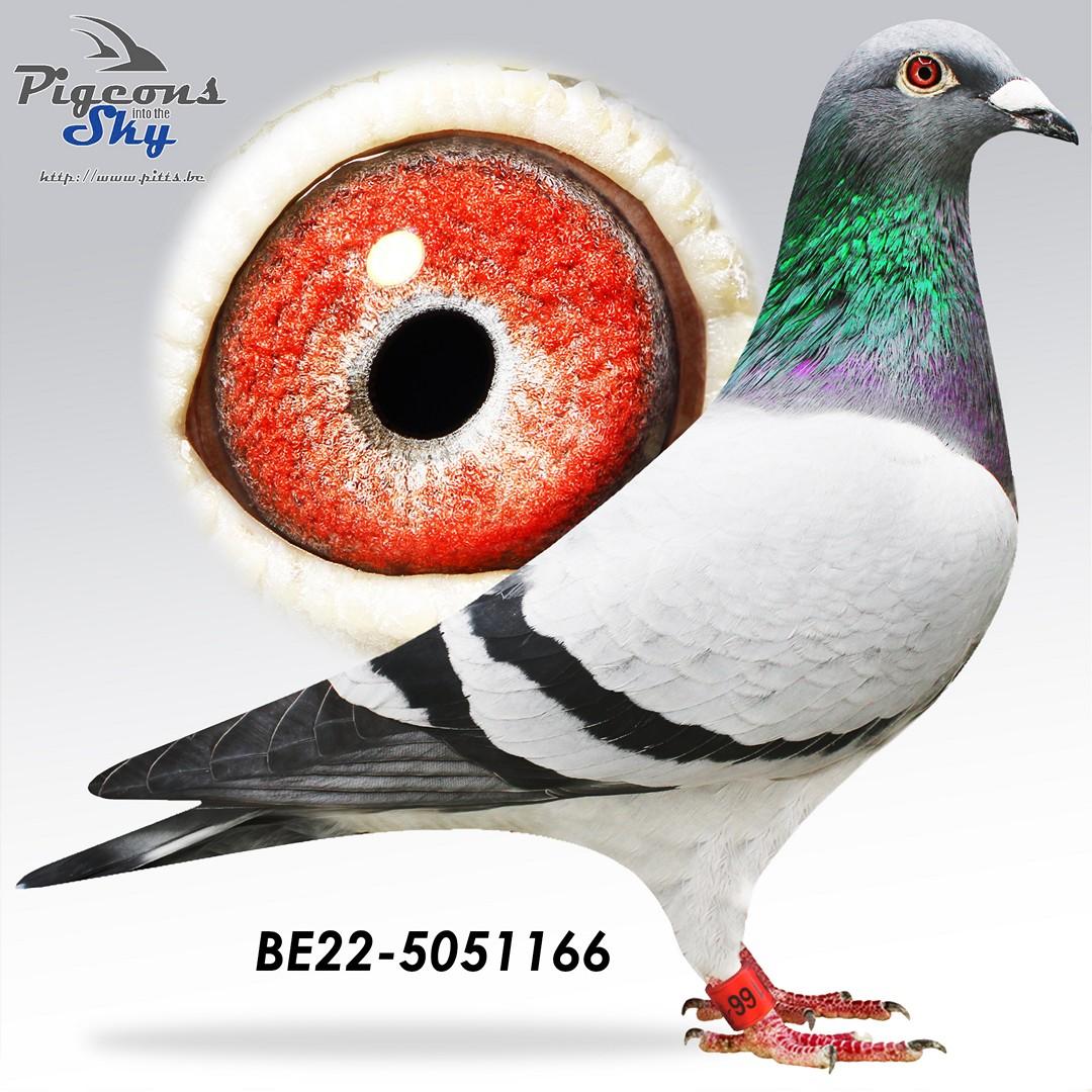 BE22-5051166