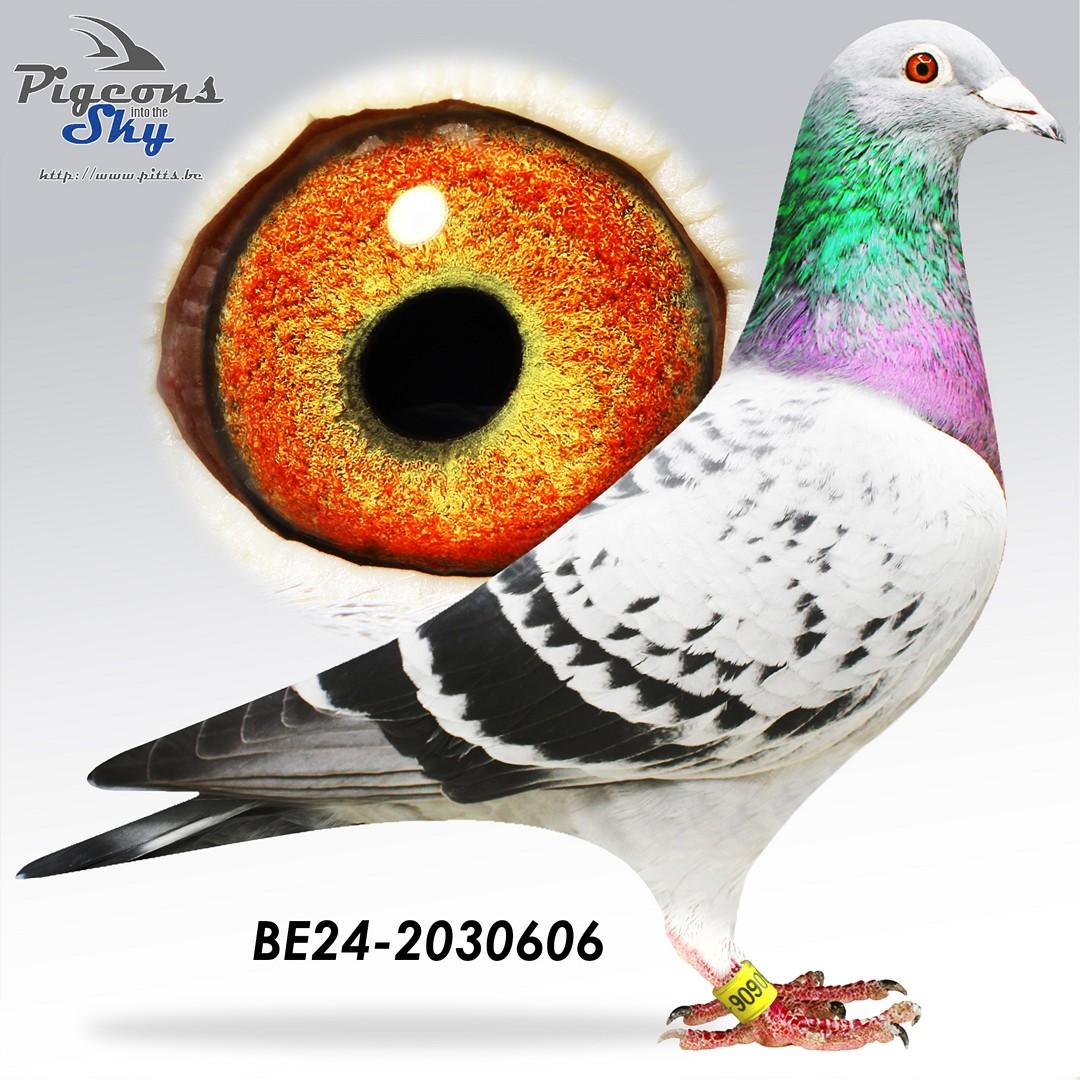BE24-2030606