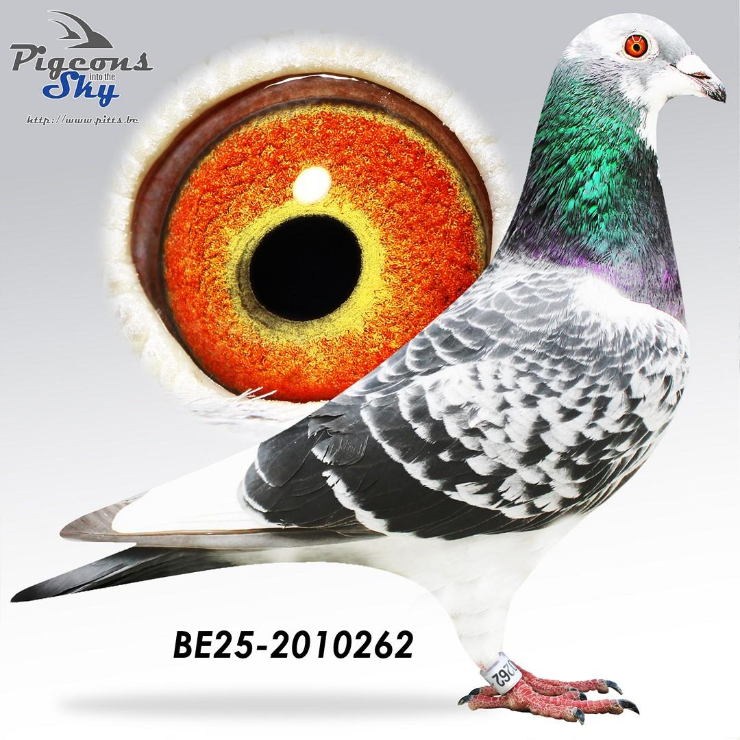 BE25-2010262