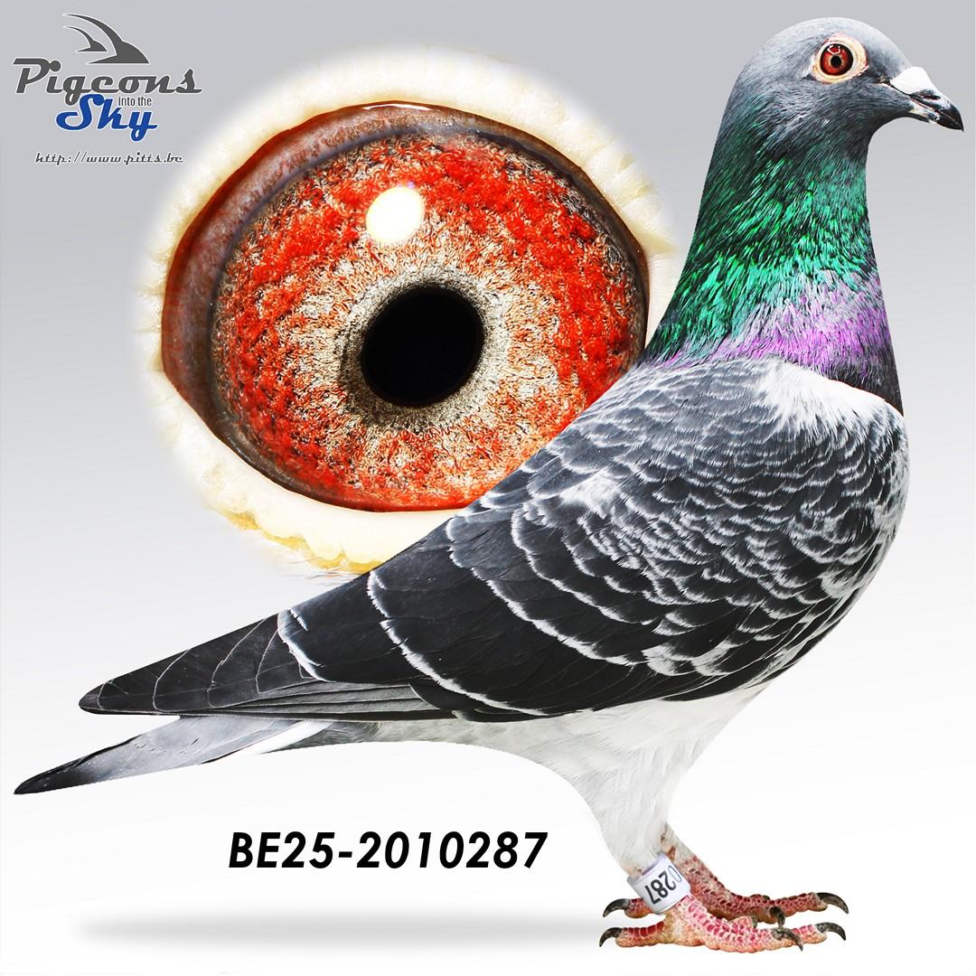 BE25-2010287