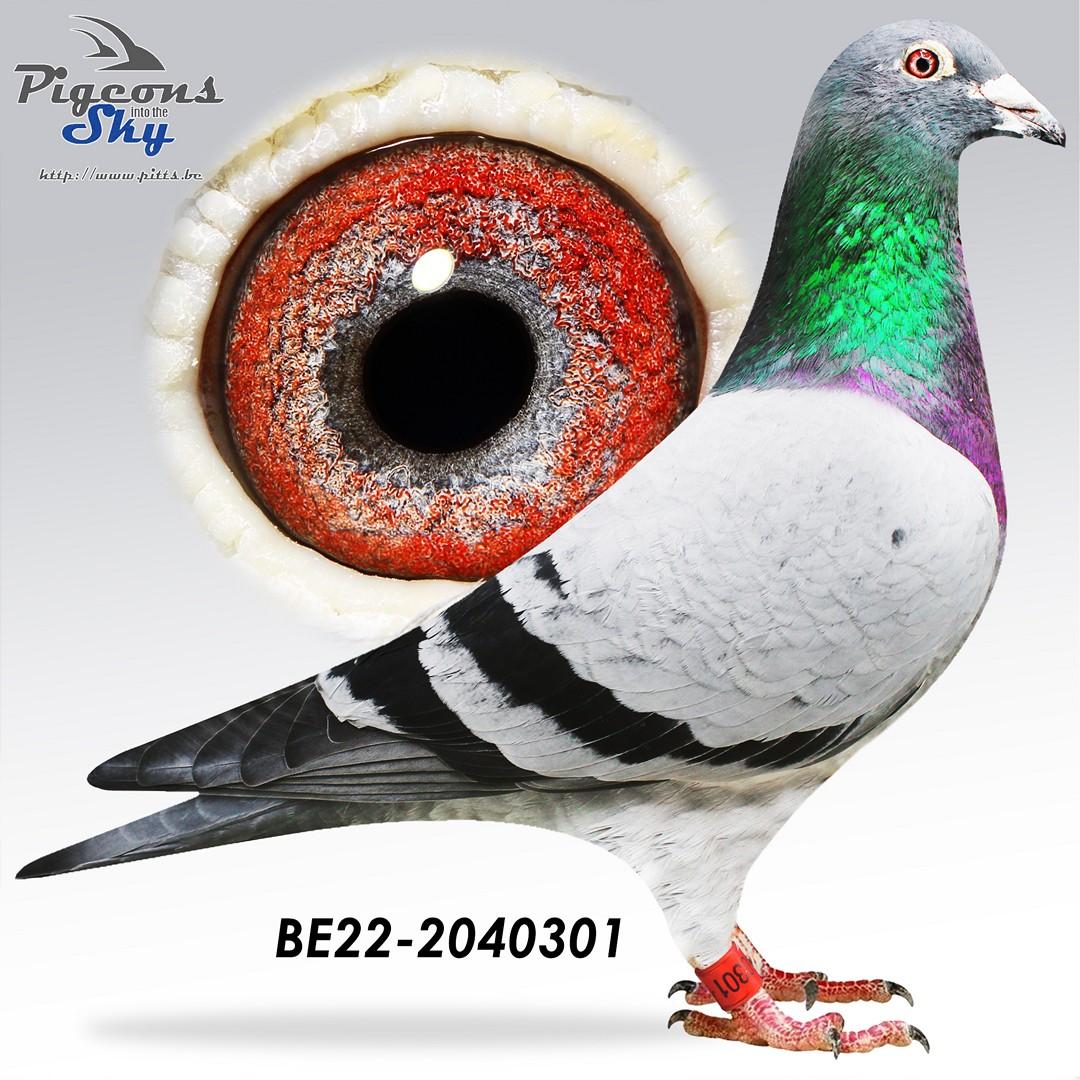 BE22-2040301