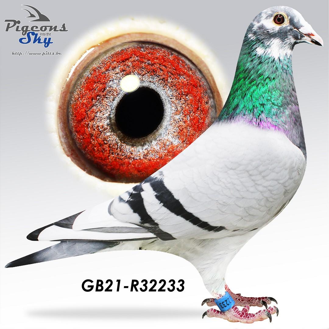 GB21-R32233