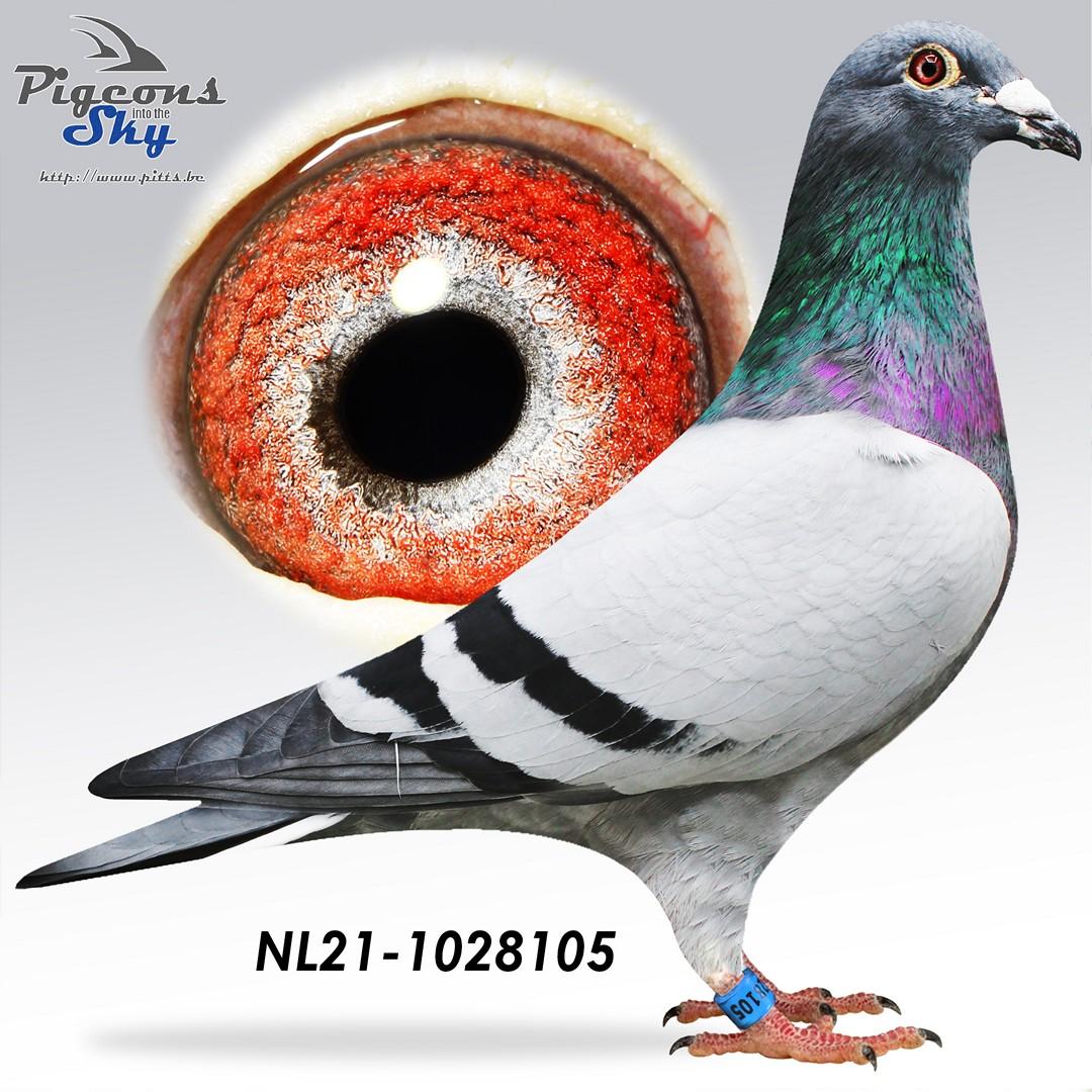 NL21-1028105