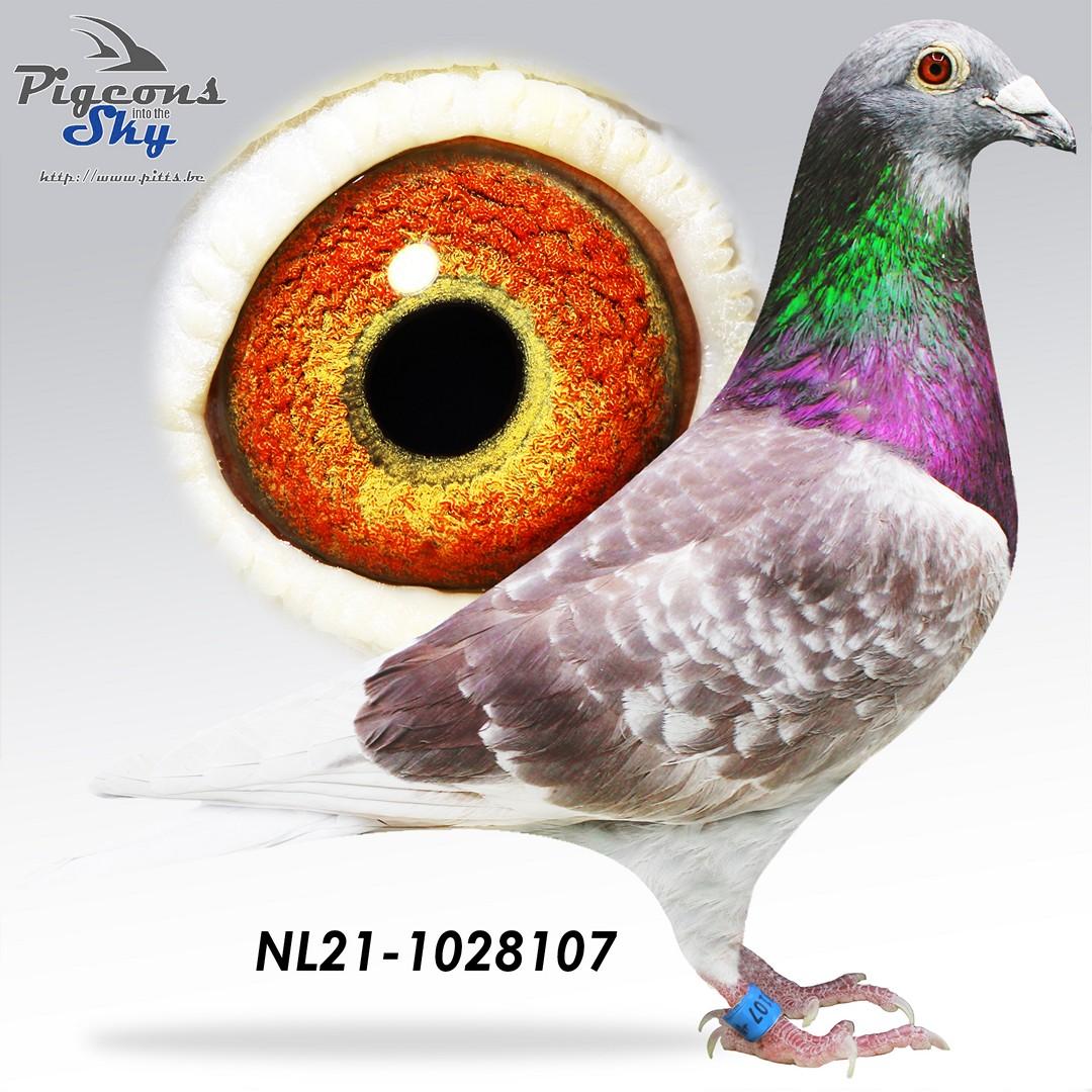 NL21-1028107