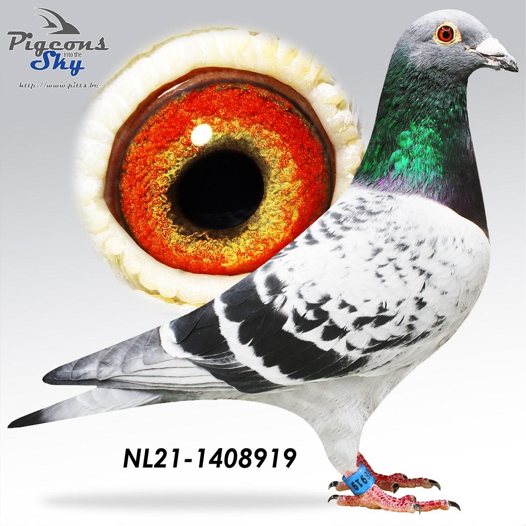 NL21-1408919