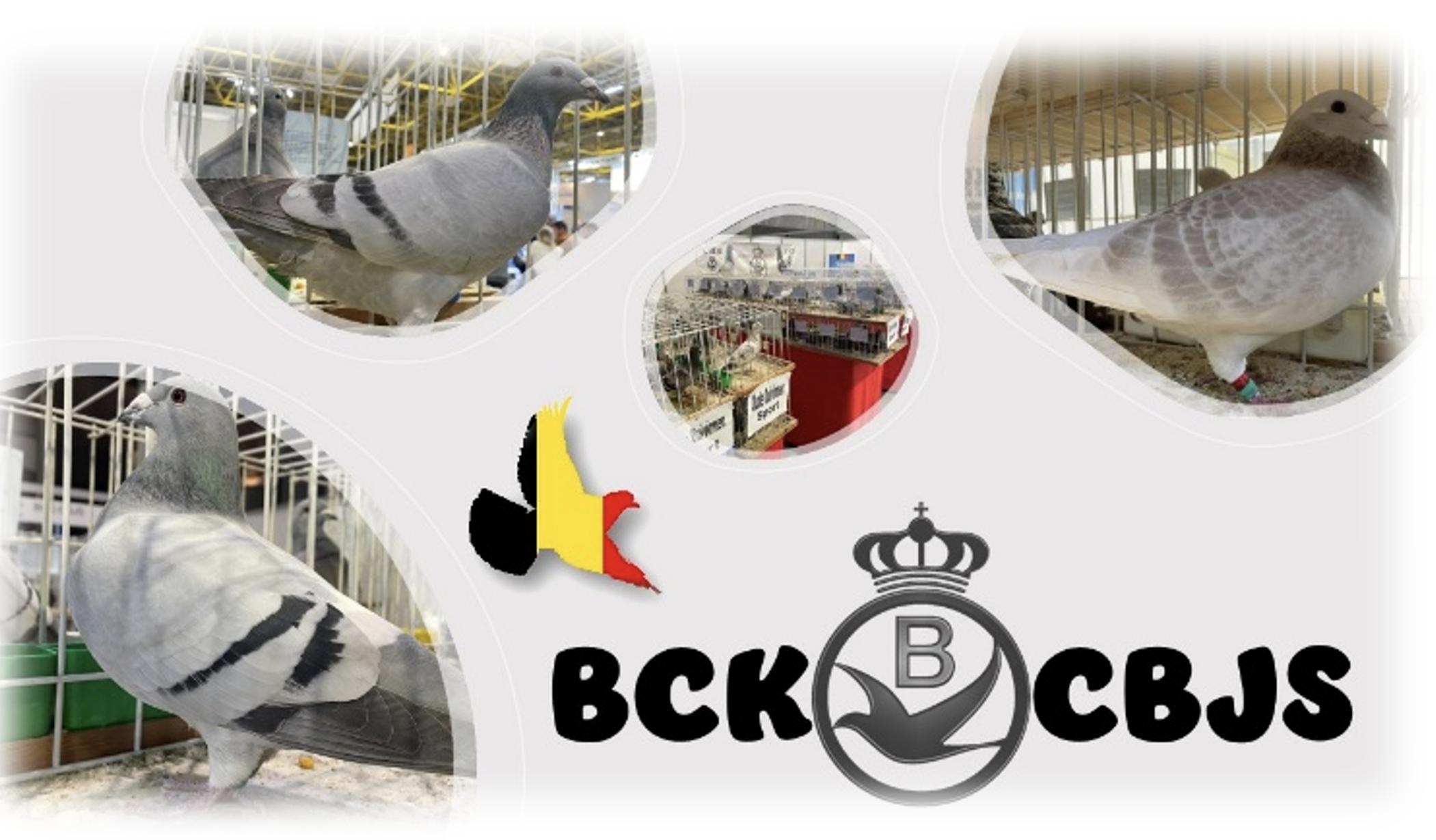 Scherm­afbeelding 2025-11-19 om 09.20.07