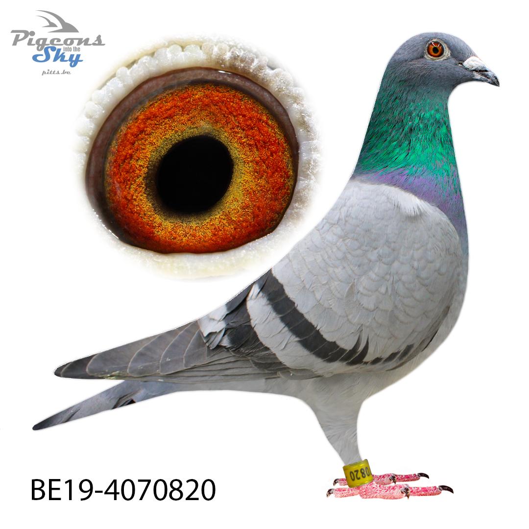 BE19-4070820