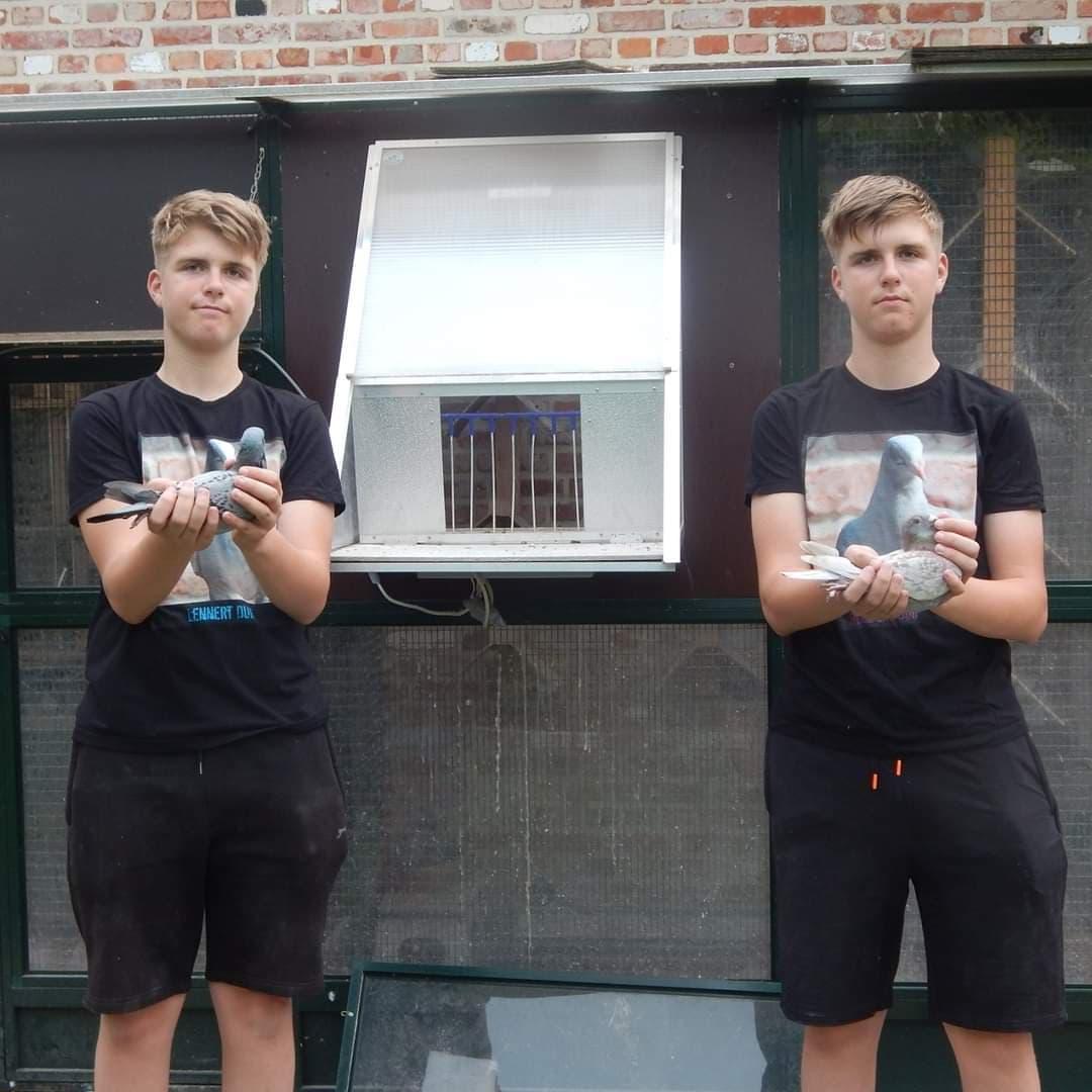 Ronsijn Lennert en Robrecht (Neigem) schenken een jonge duif op afspraak 2026
