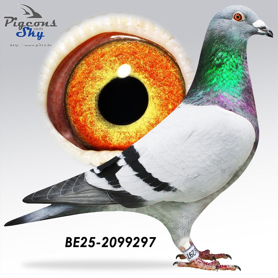 BE25-2099297