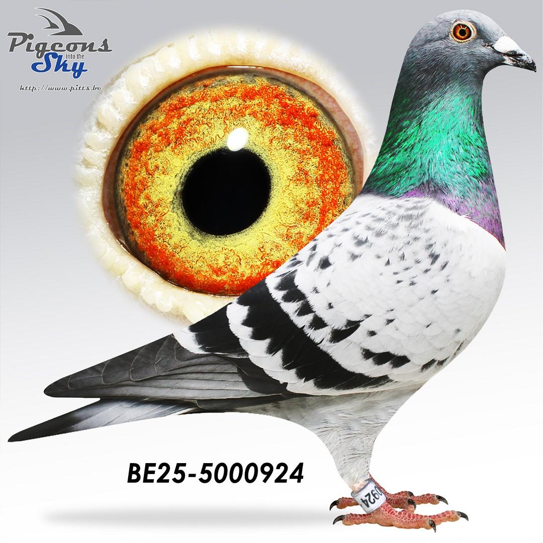BE25-5000924