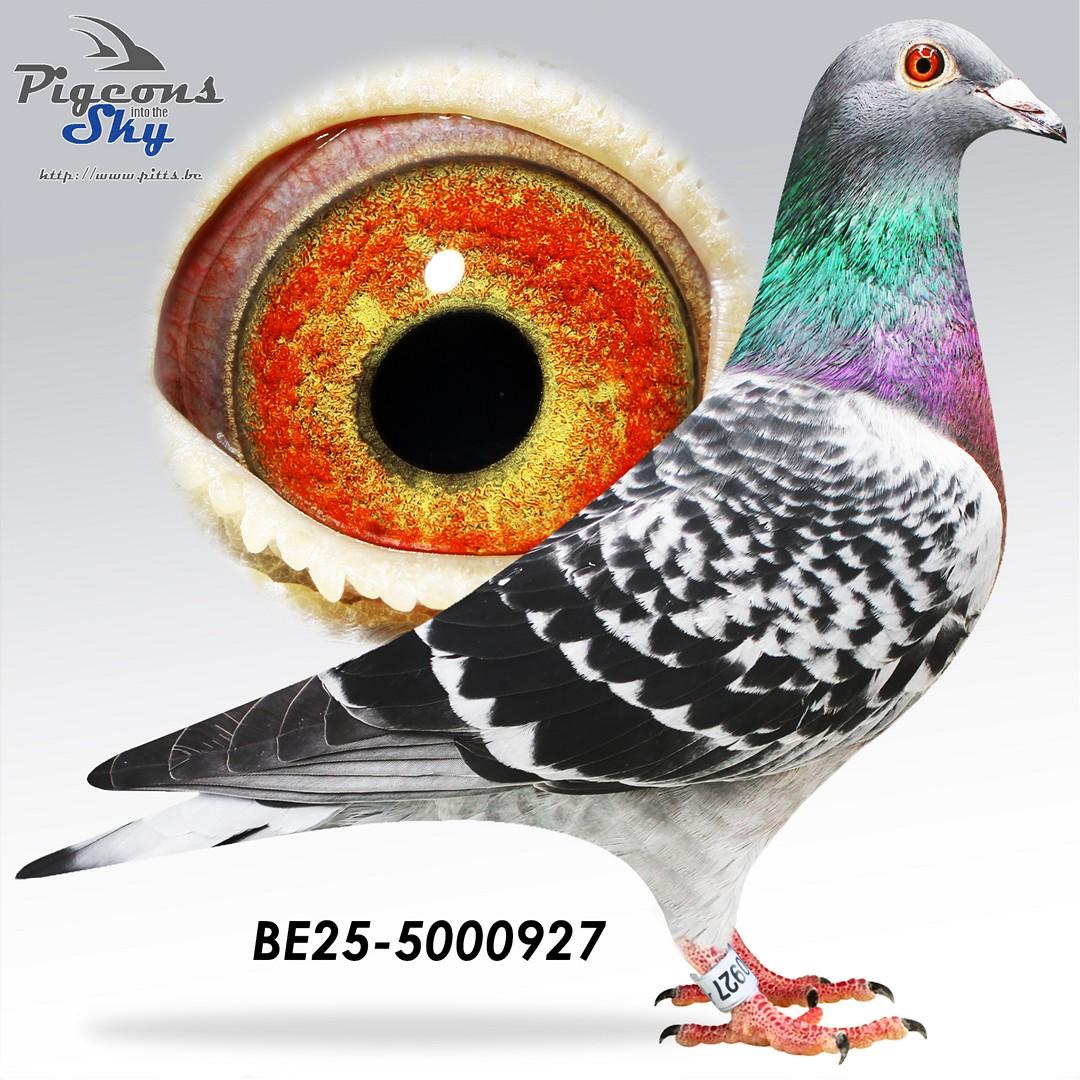 BE25-5000927