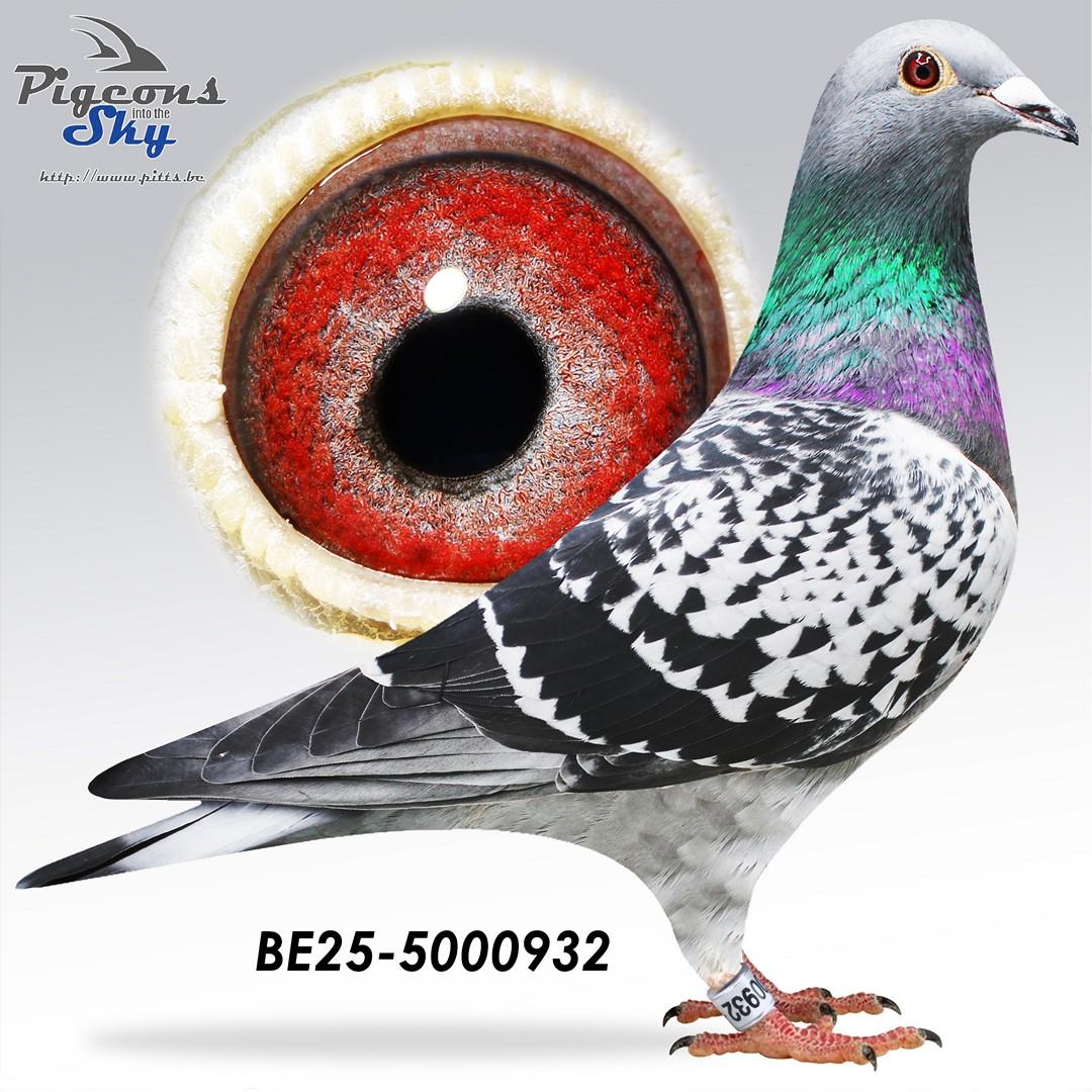 BE25-5000932