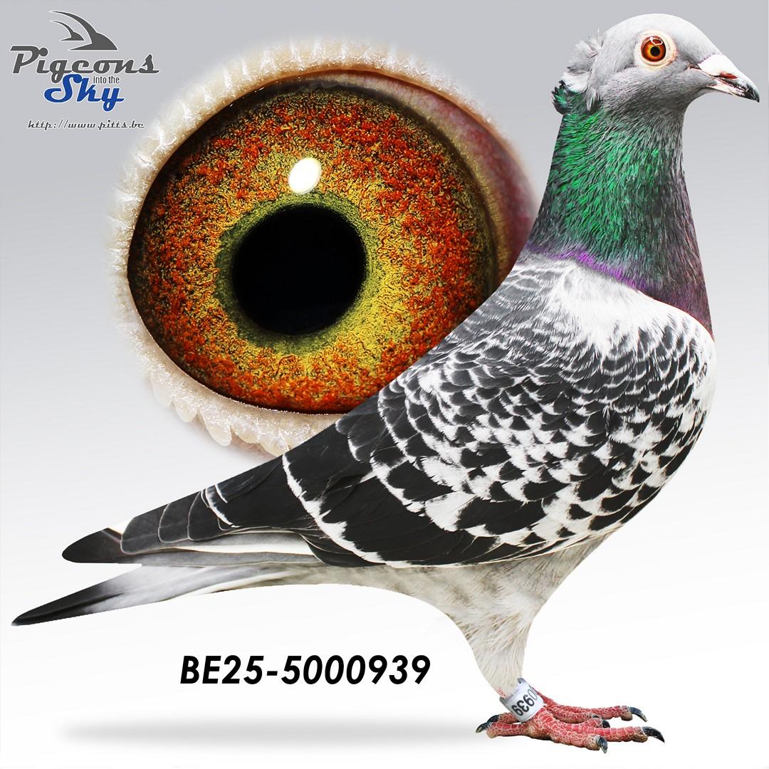 BE25-5000939