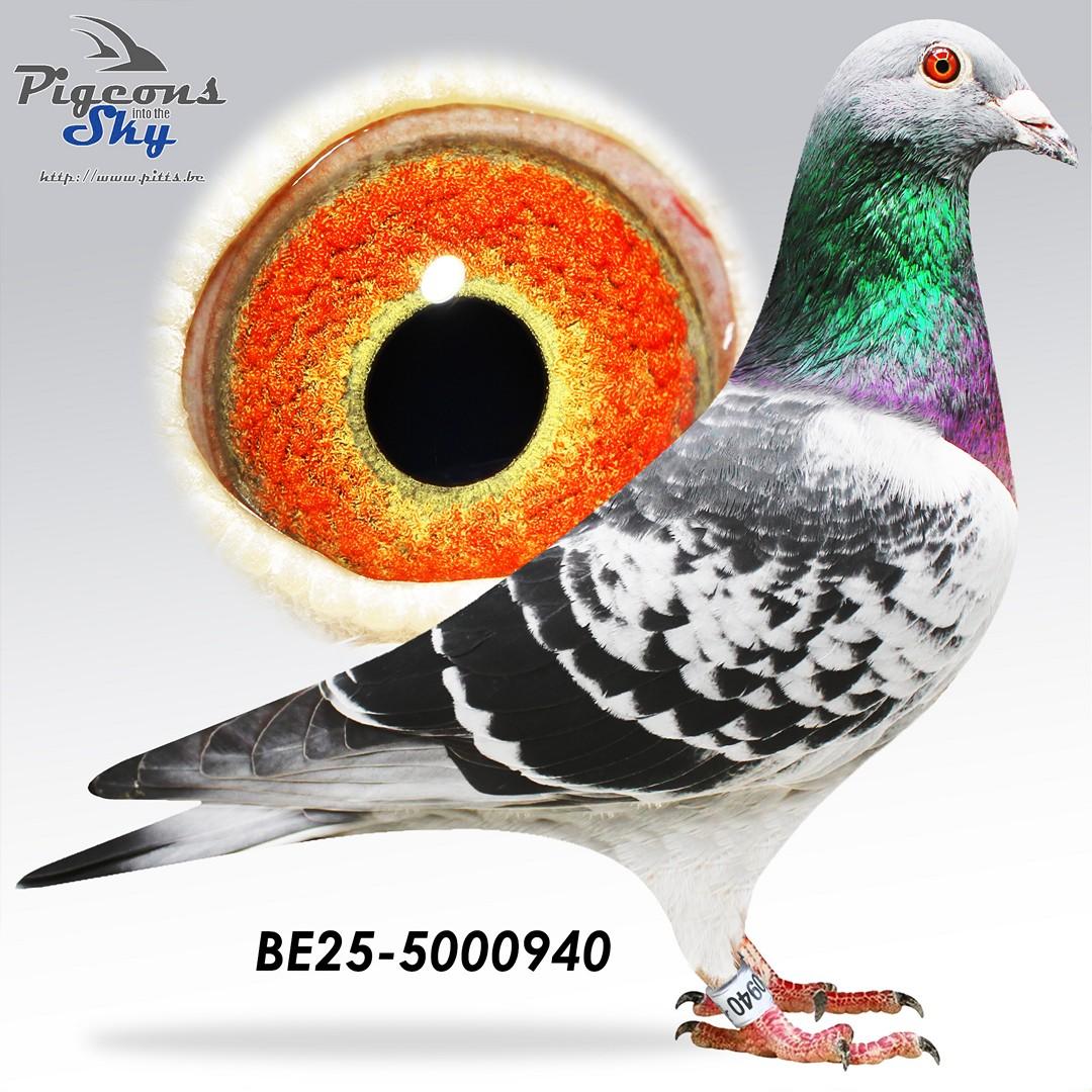 BE25-5000940