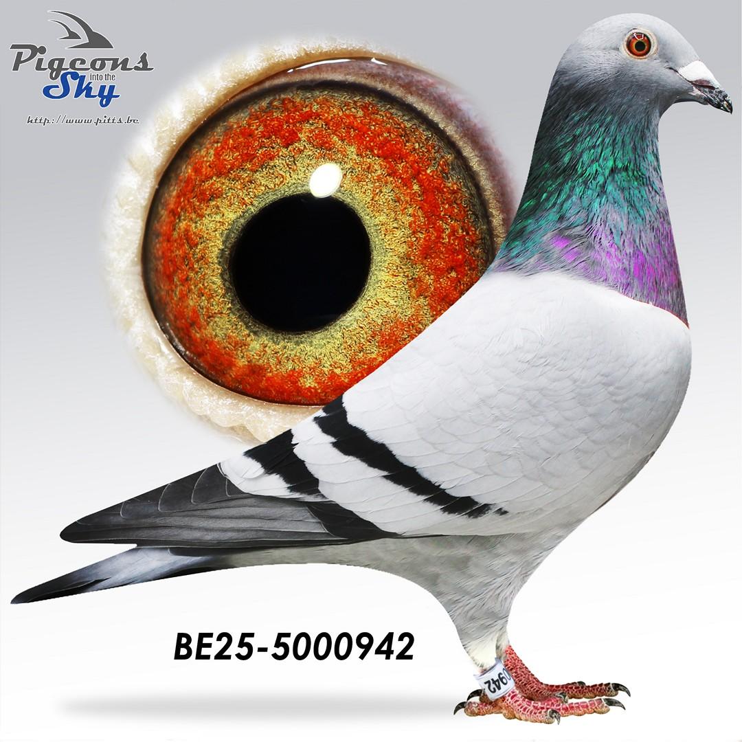 BE25-5000942