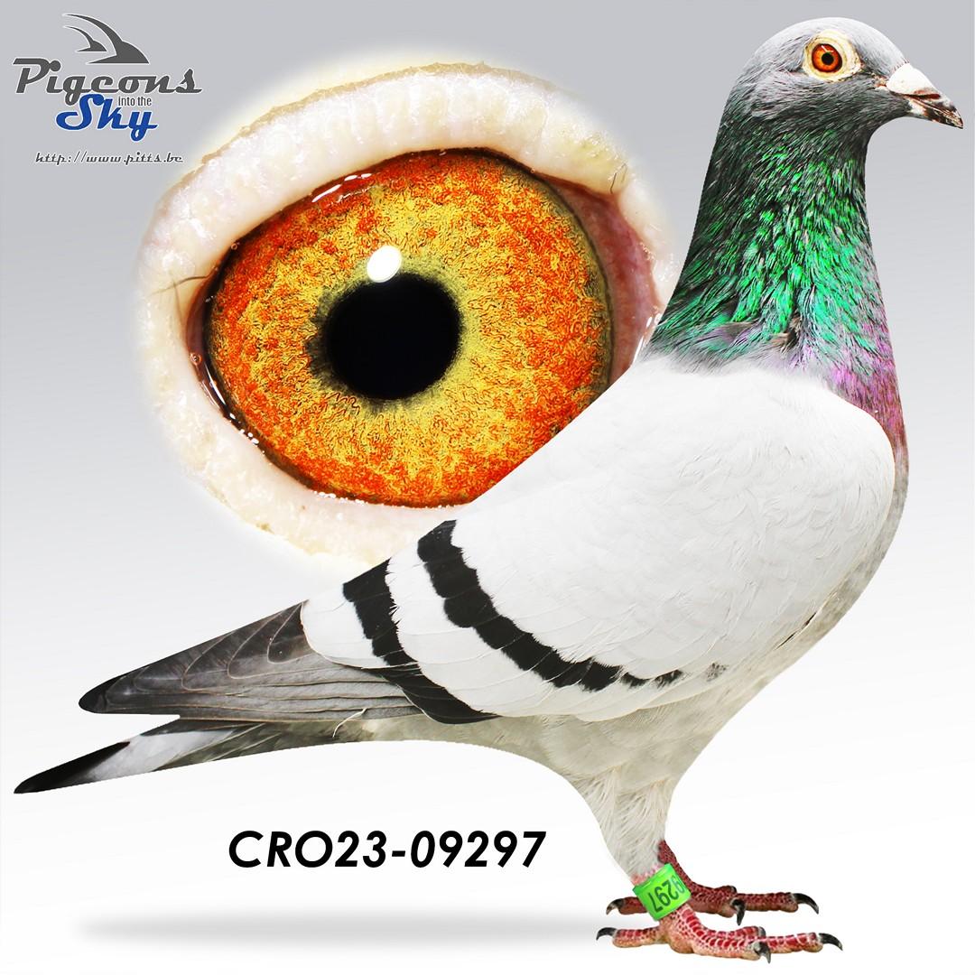 CRO23-09297