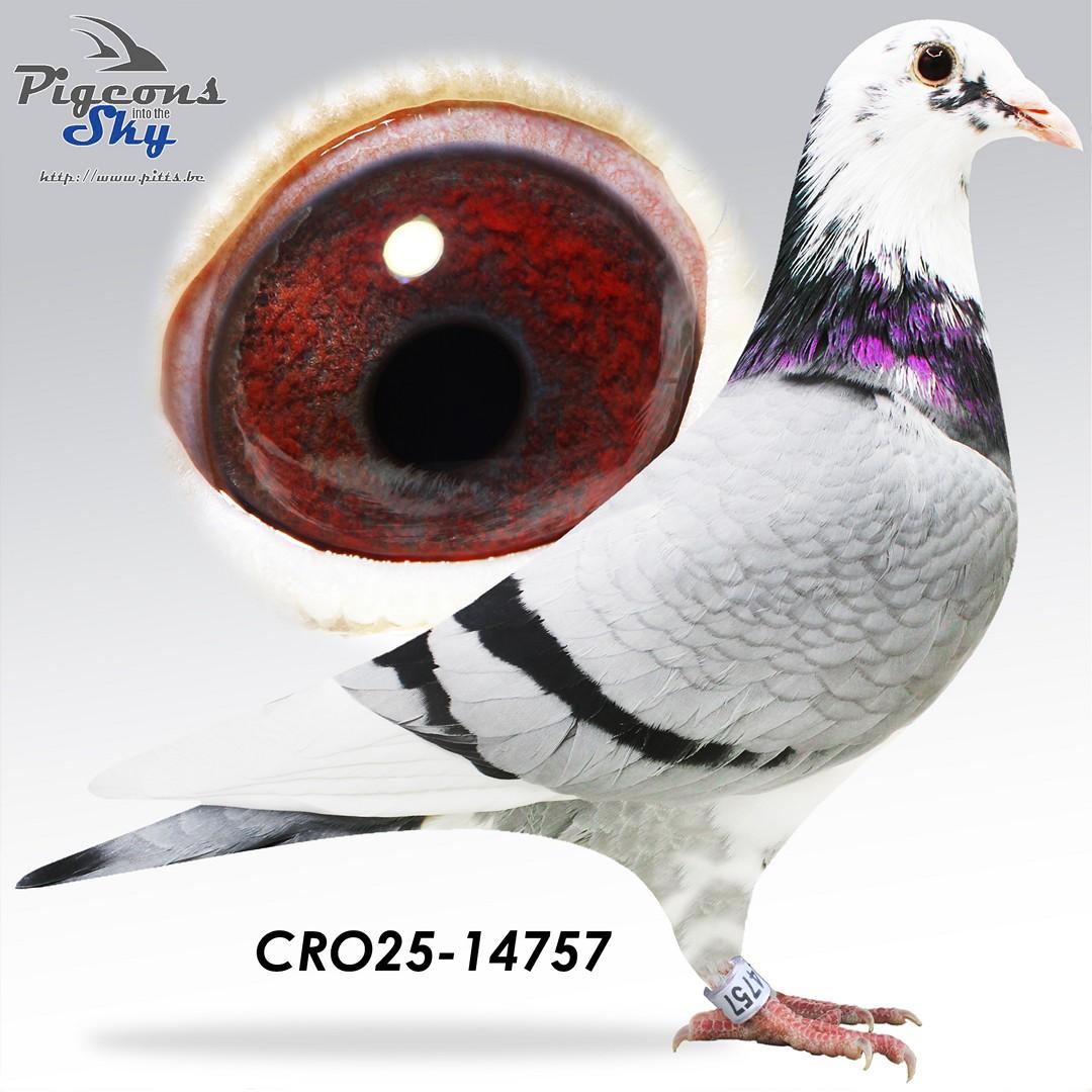CRO25-14757