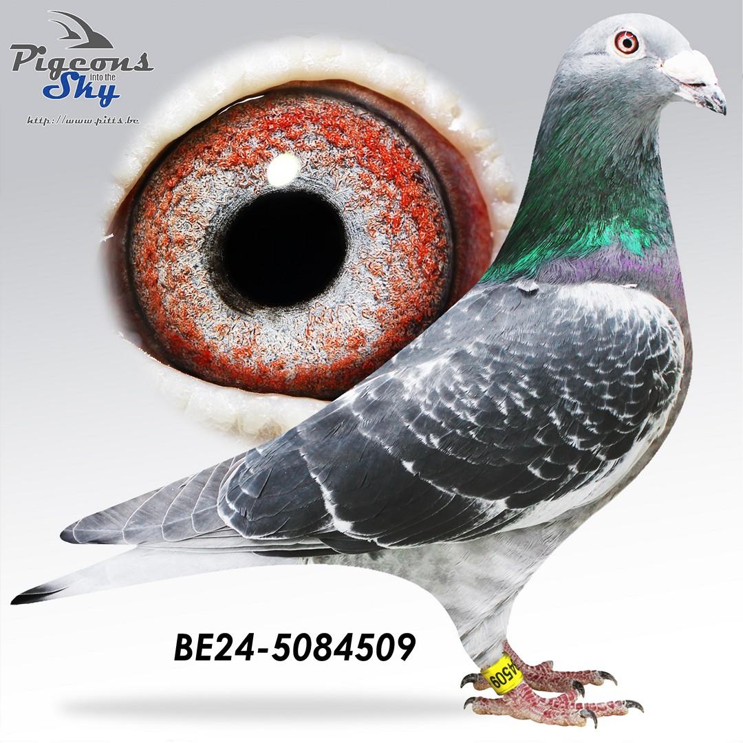BE24-5084509