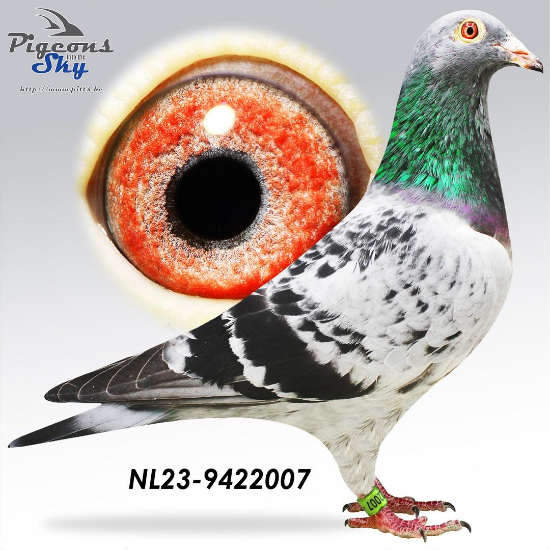 NL23-9422007