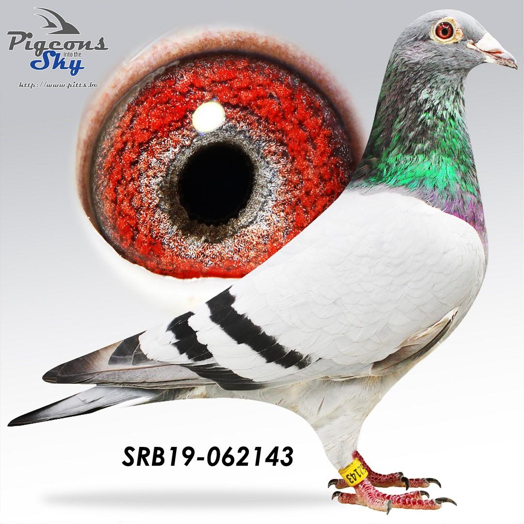 SRB19-062143