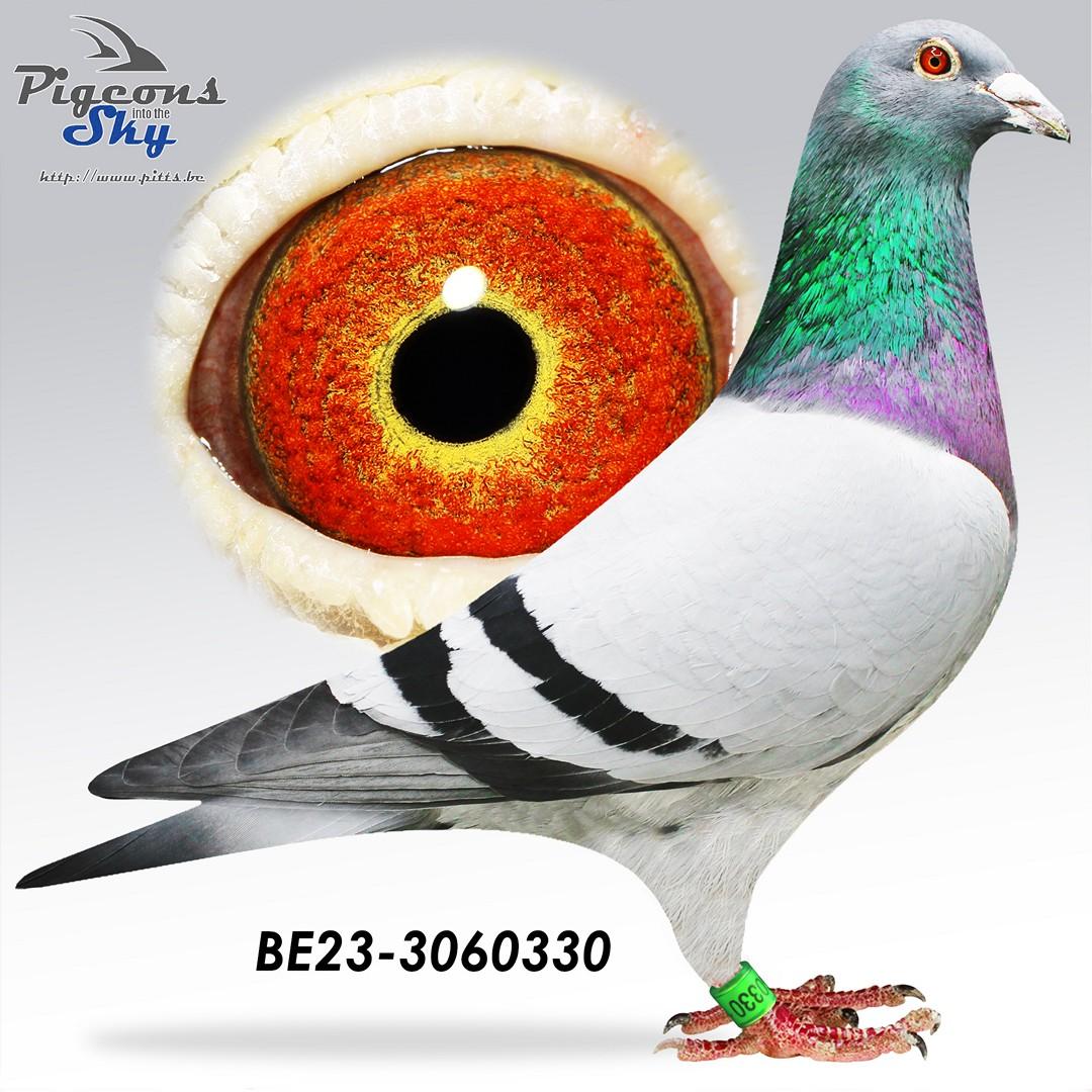 BE23-3060330