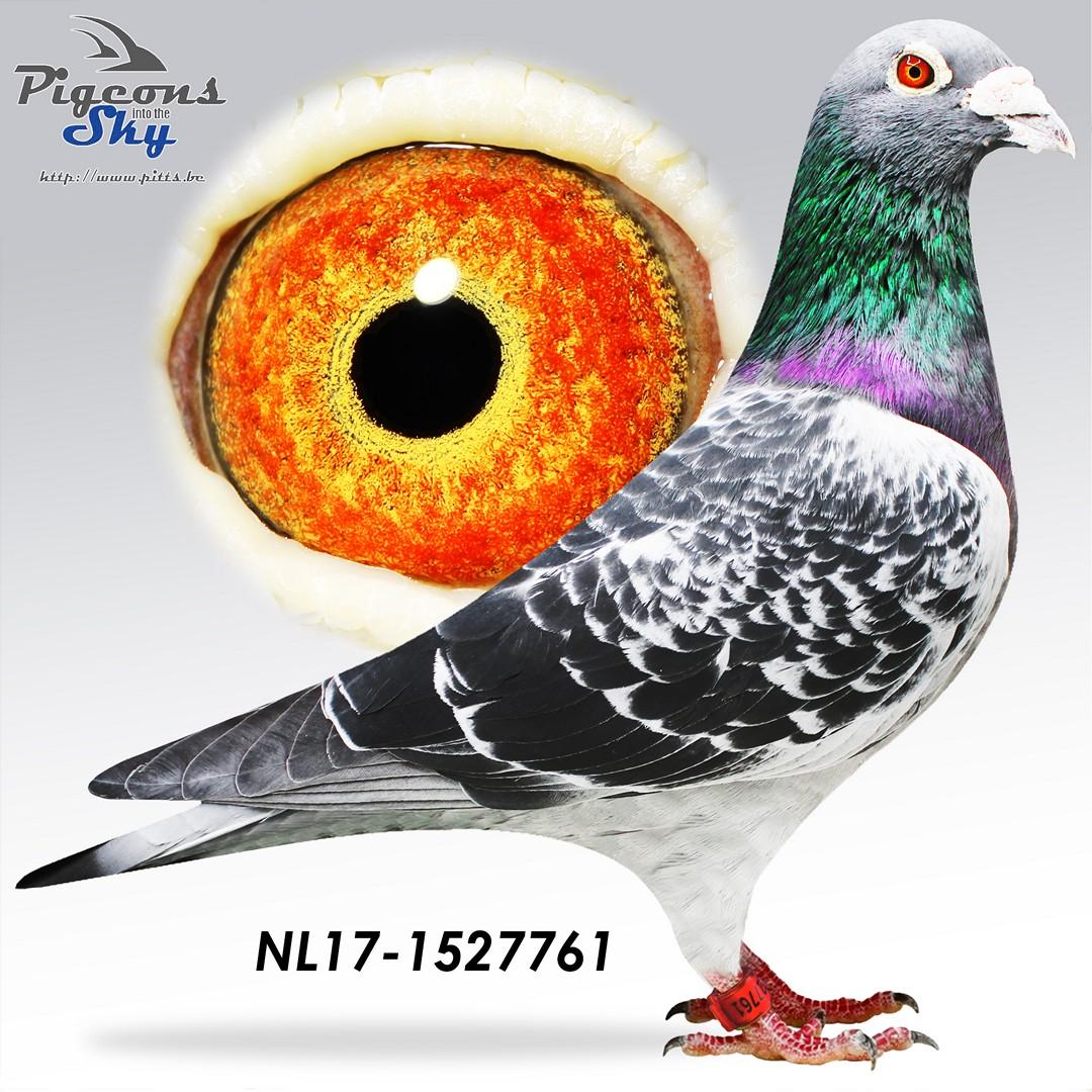 NL17-1527761