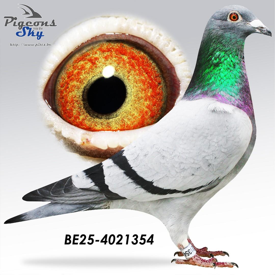 BE25-4021354