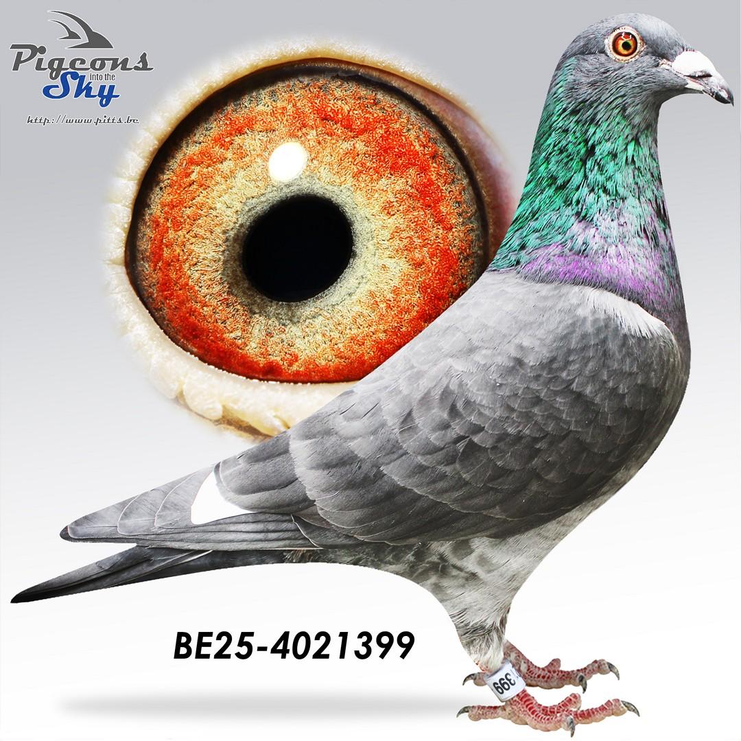 BE25-4021399