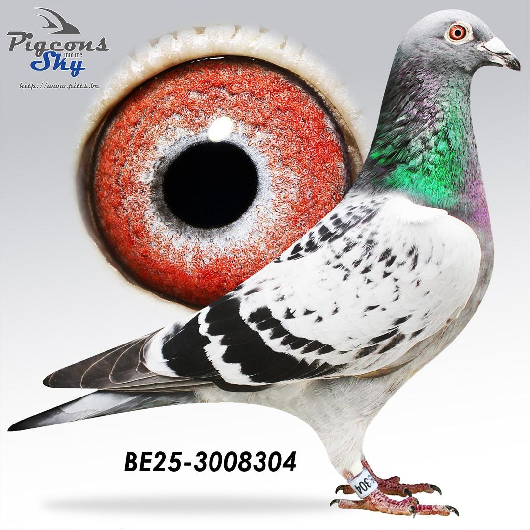 BE25-3008304