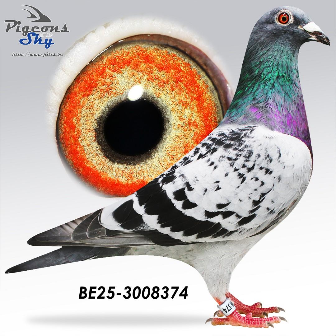 BE25-3008374