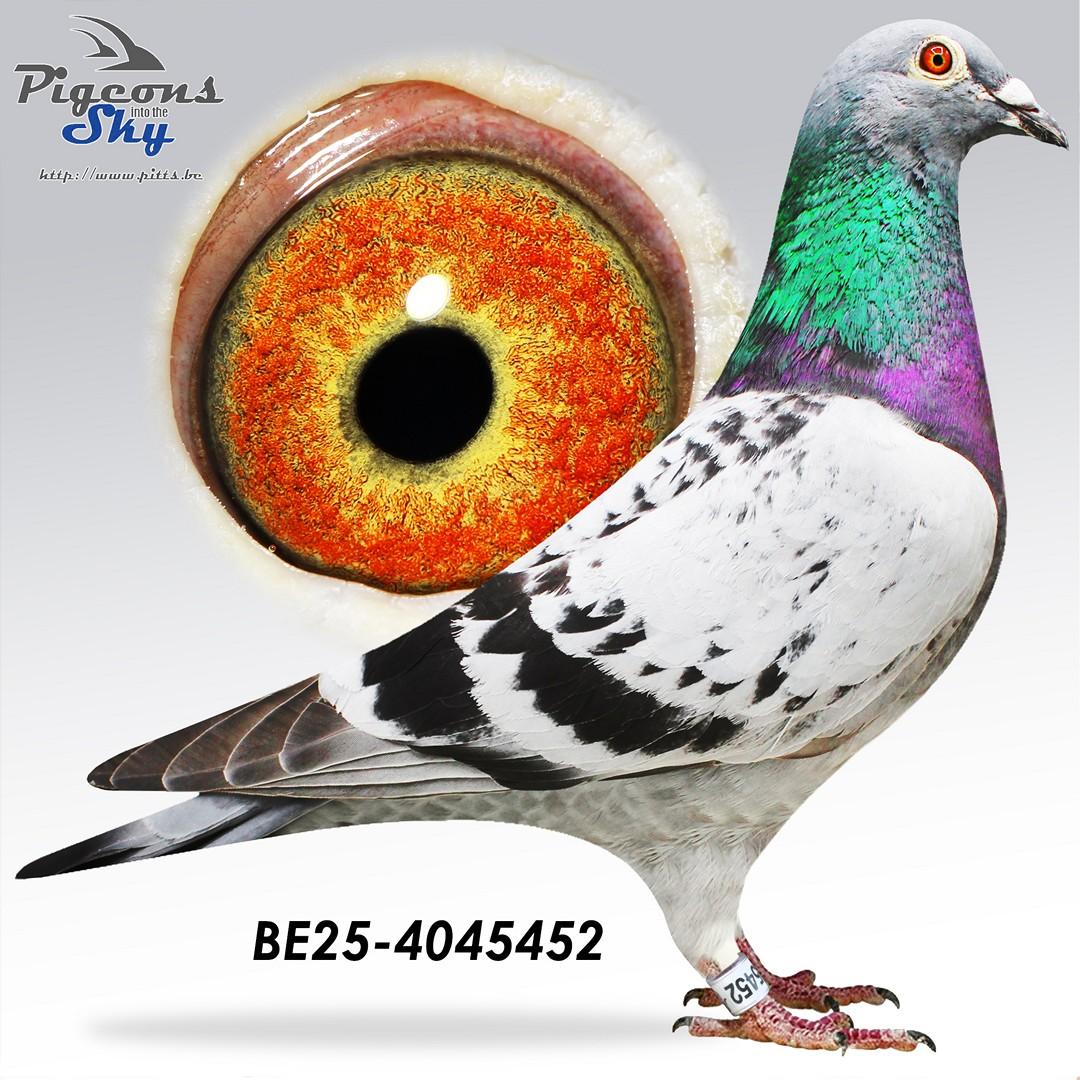 BE25-4045452
