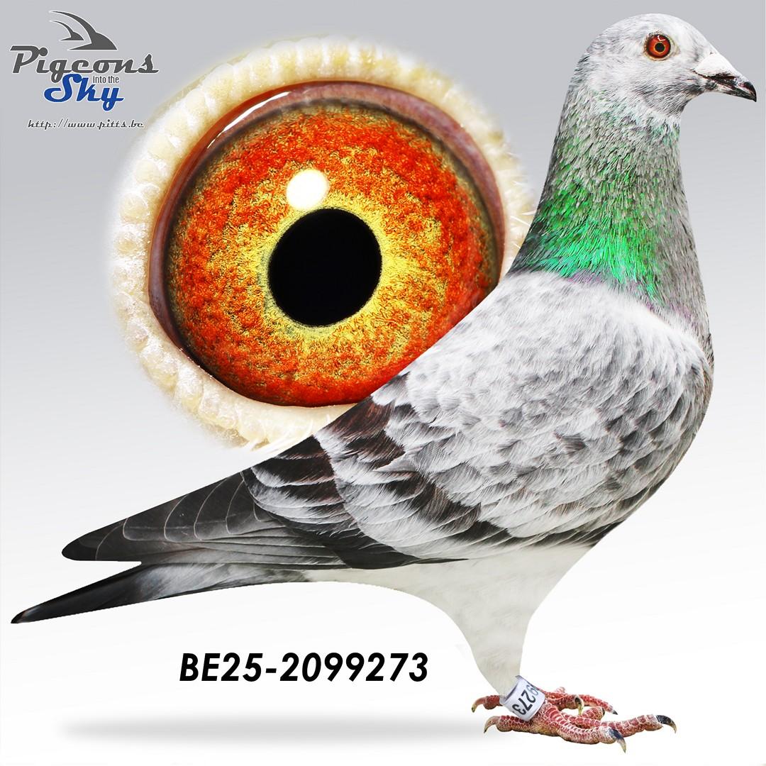 BE25-2099273