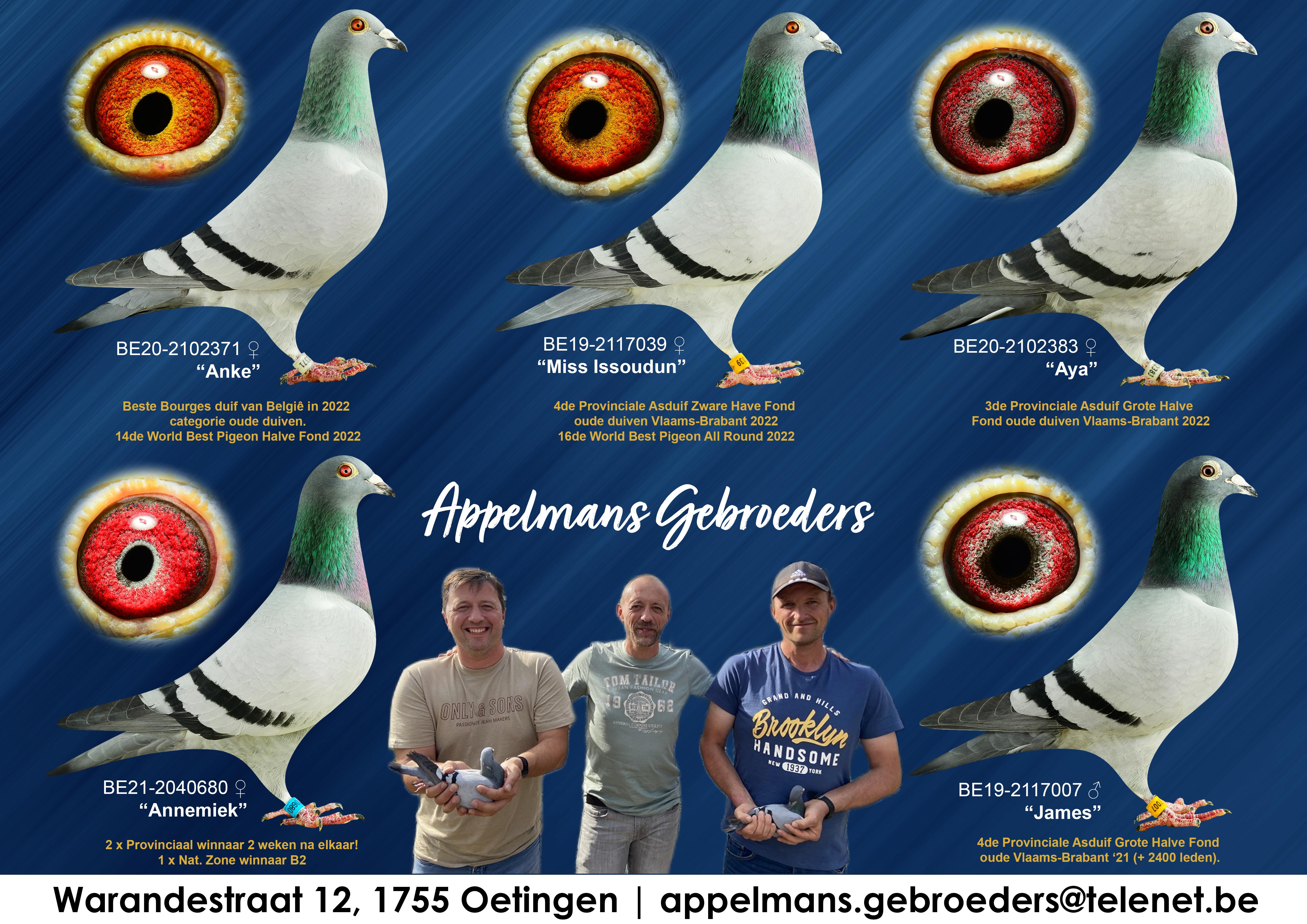 appelmans gebroeders collage