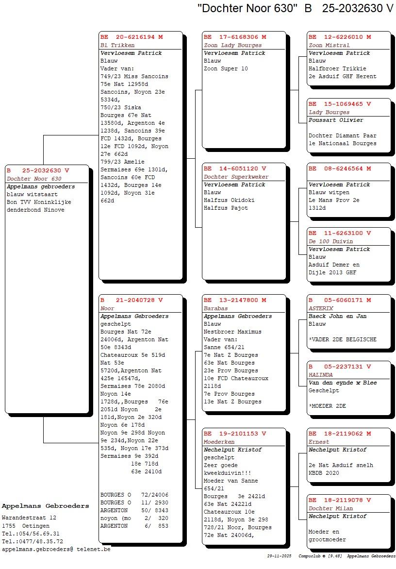 appelmans gebroeders pedegree 25-2032630
