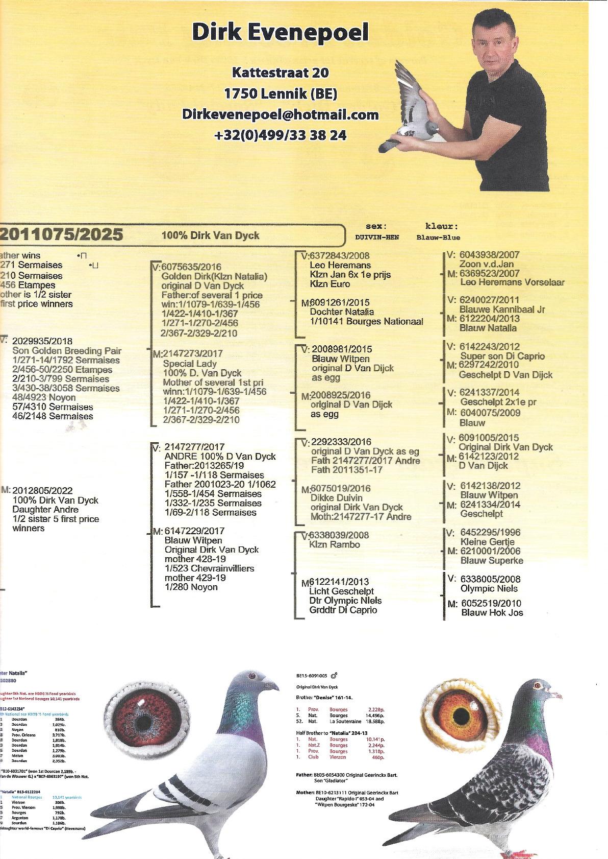 Evenepoel Dirk - Pedigree