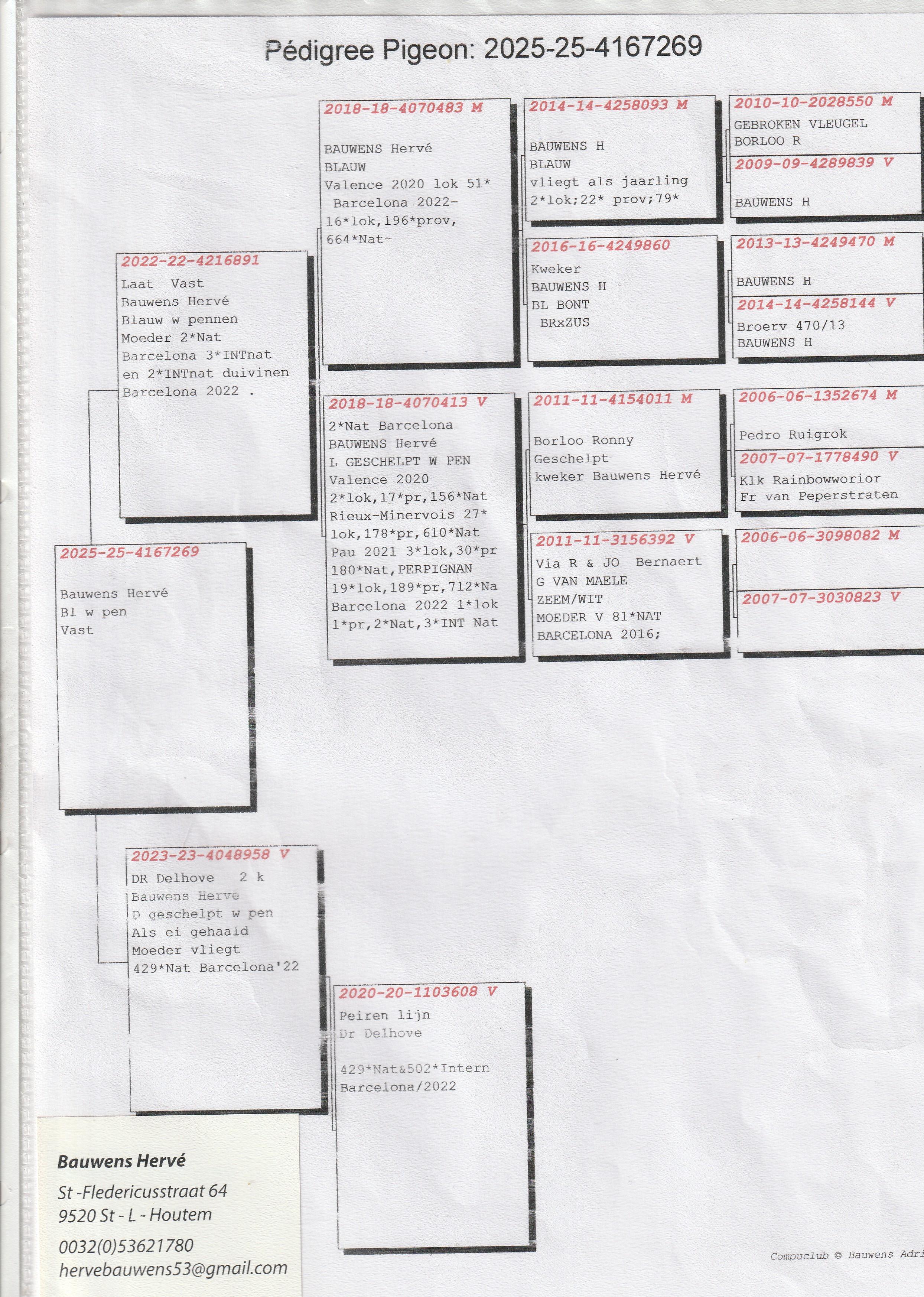 bauwens herve pedegree