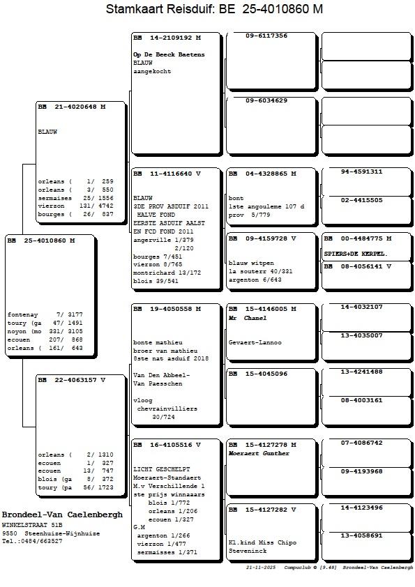 brondeel-van caelenbergh pedegree