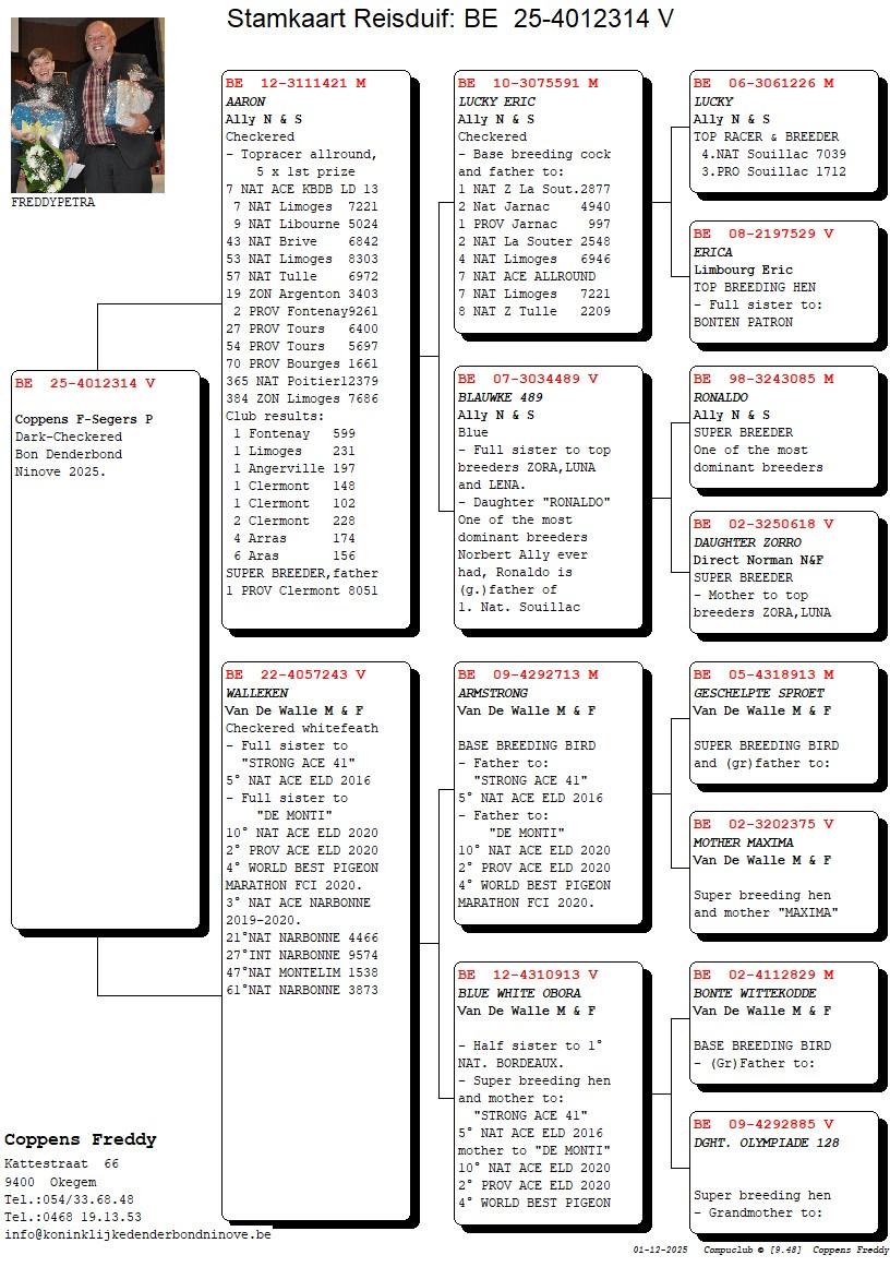 Coppens freddy pedegree 25-4012314_4gen