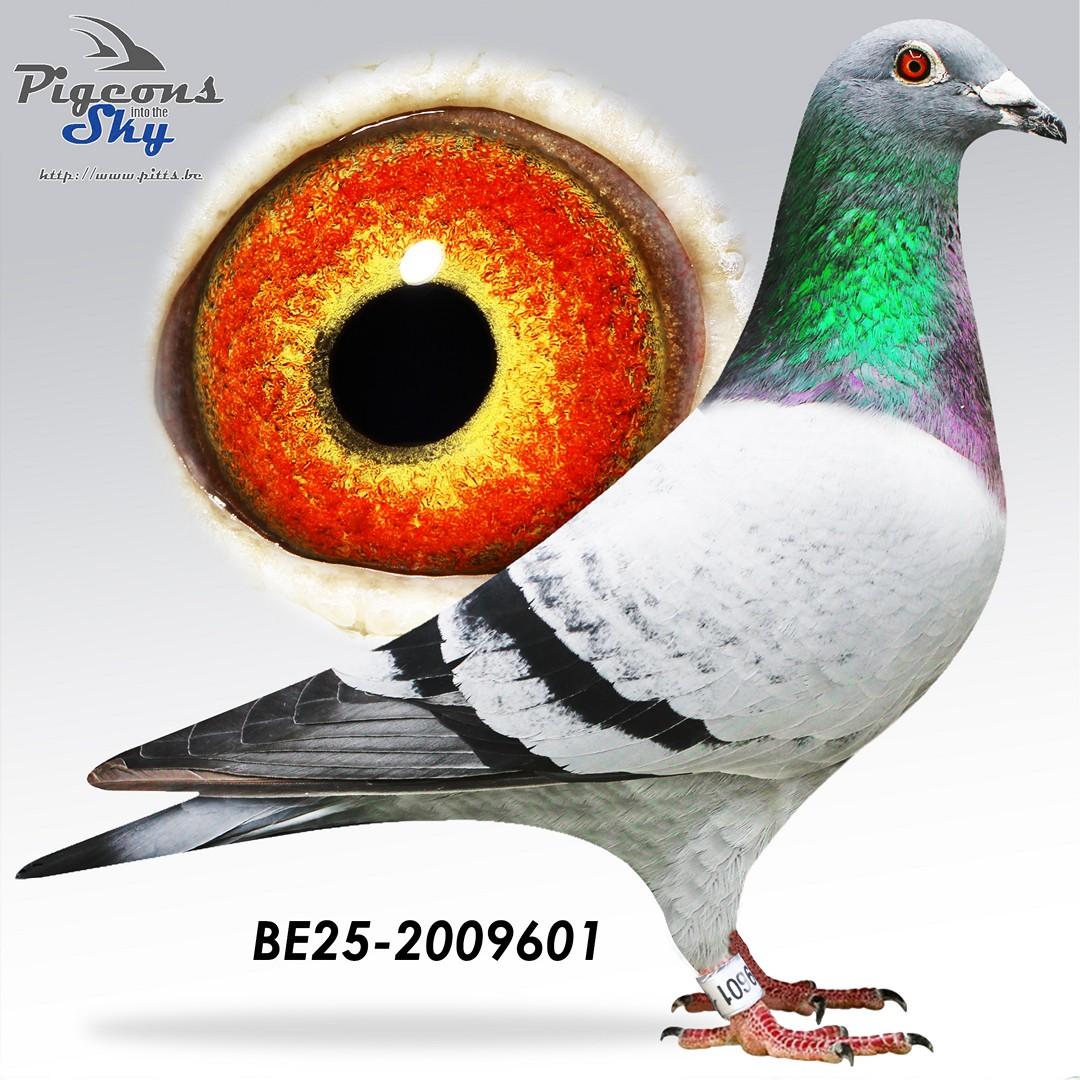 BE25-2009601