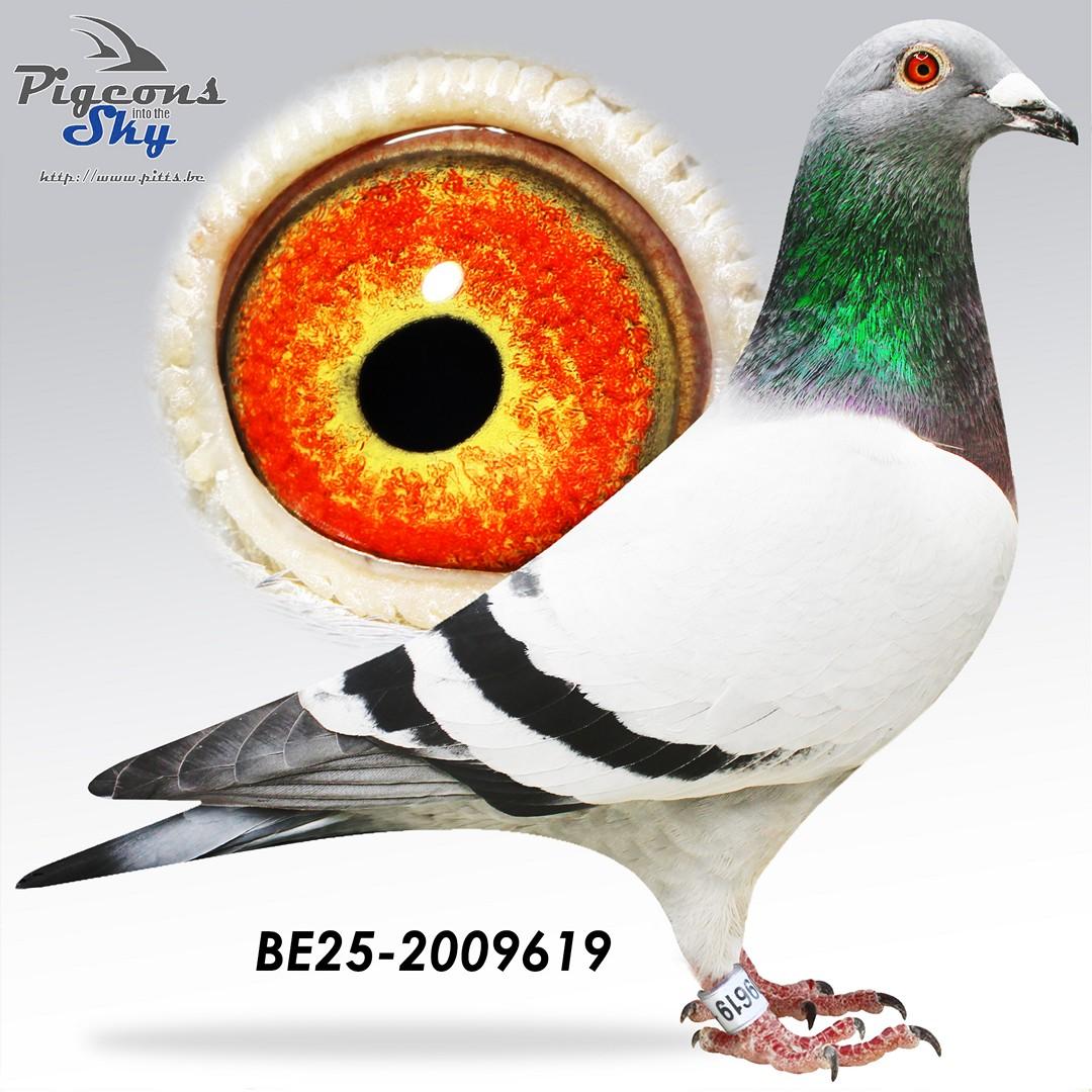 BE25-2009619