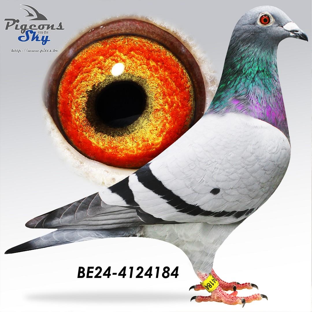 BE24-4124184