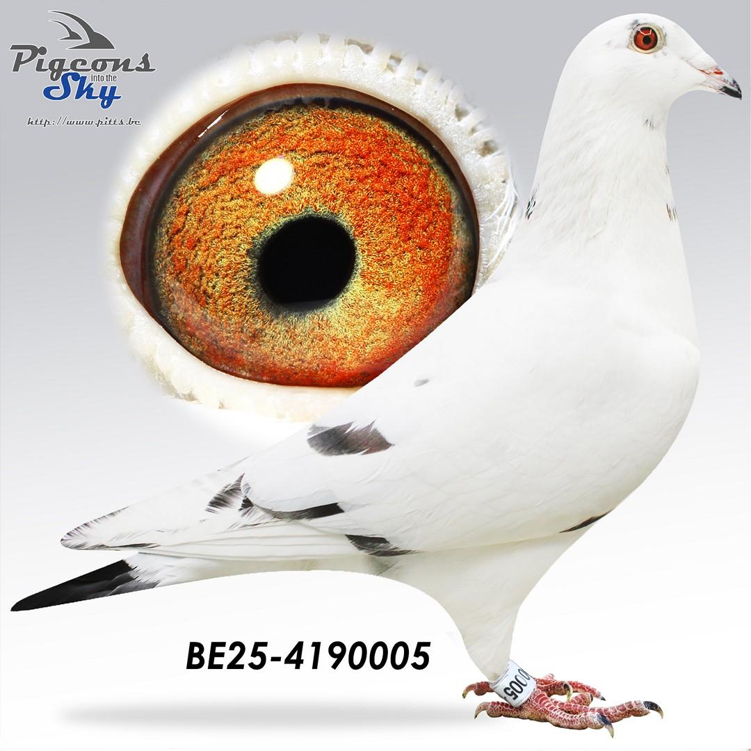 BE25-4190005
